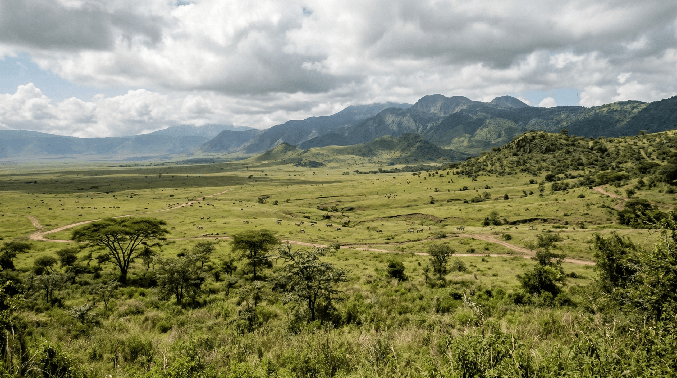 Mejor época para viajar a Tanzania