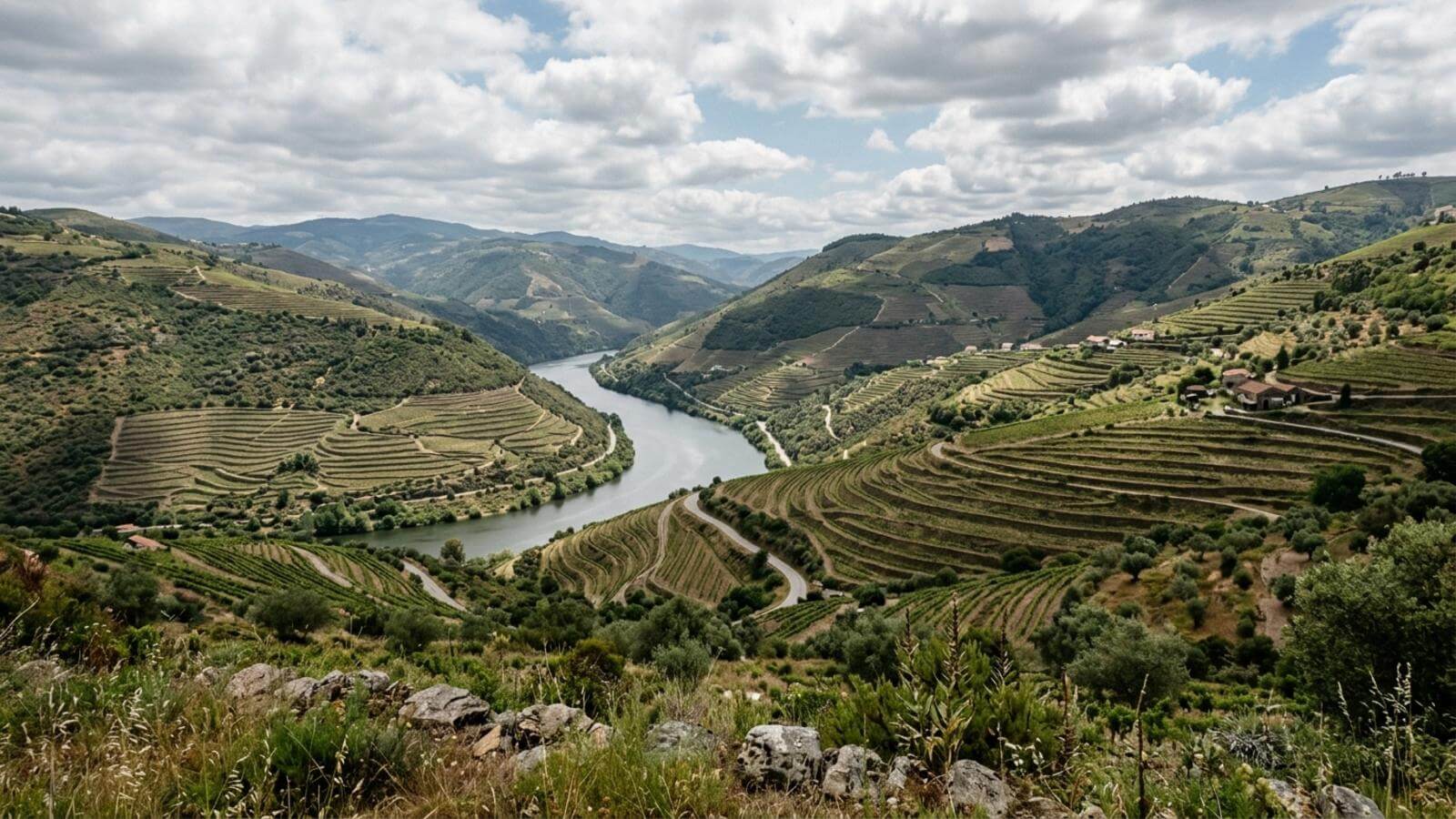 Mejor época para viajar al Alto Douro Vinhateiro
