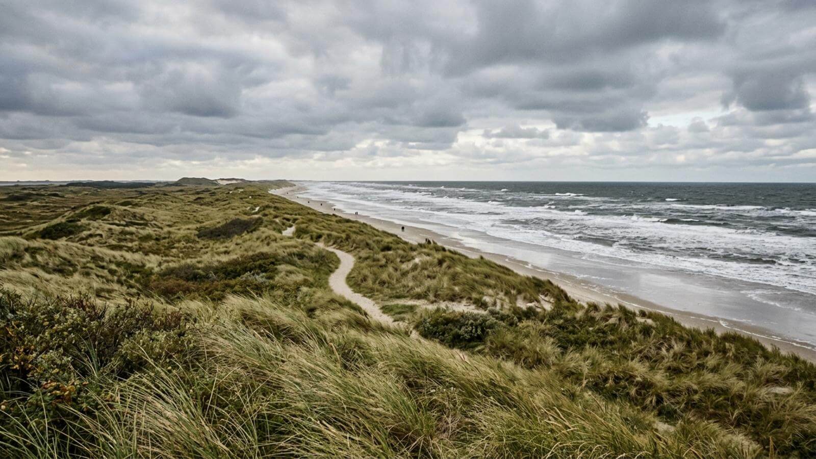 Mejor época para viajar a Borkum