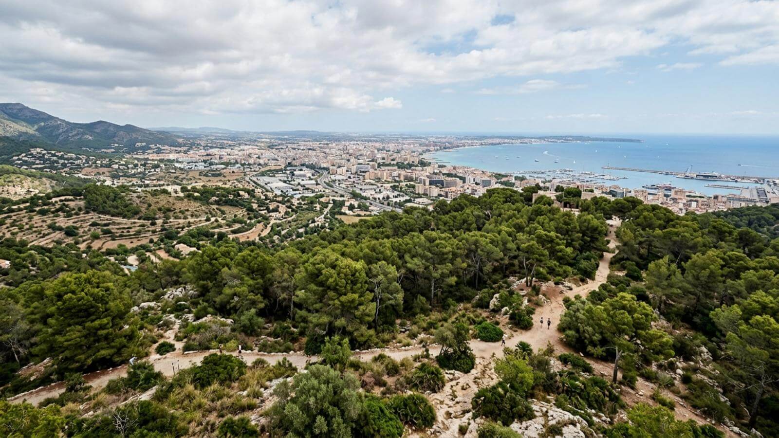 Mejor época para viajar al Castillo de Bellver