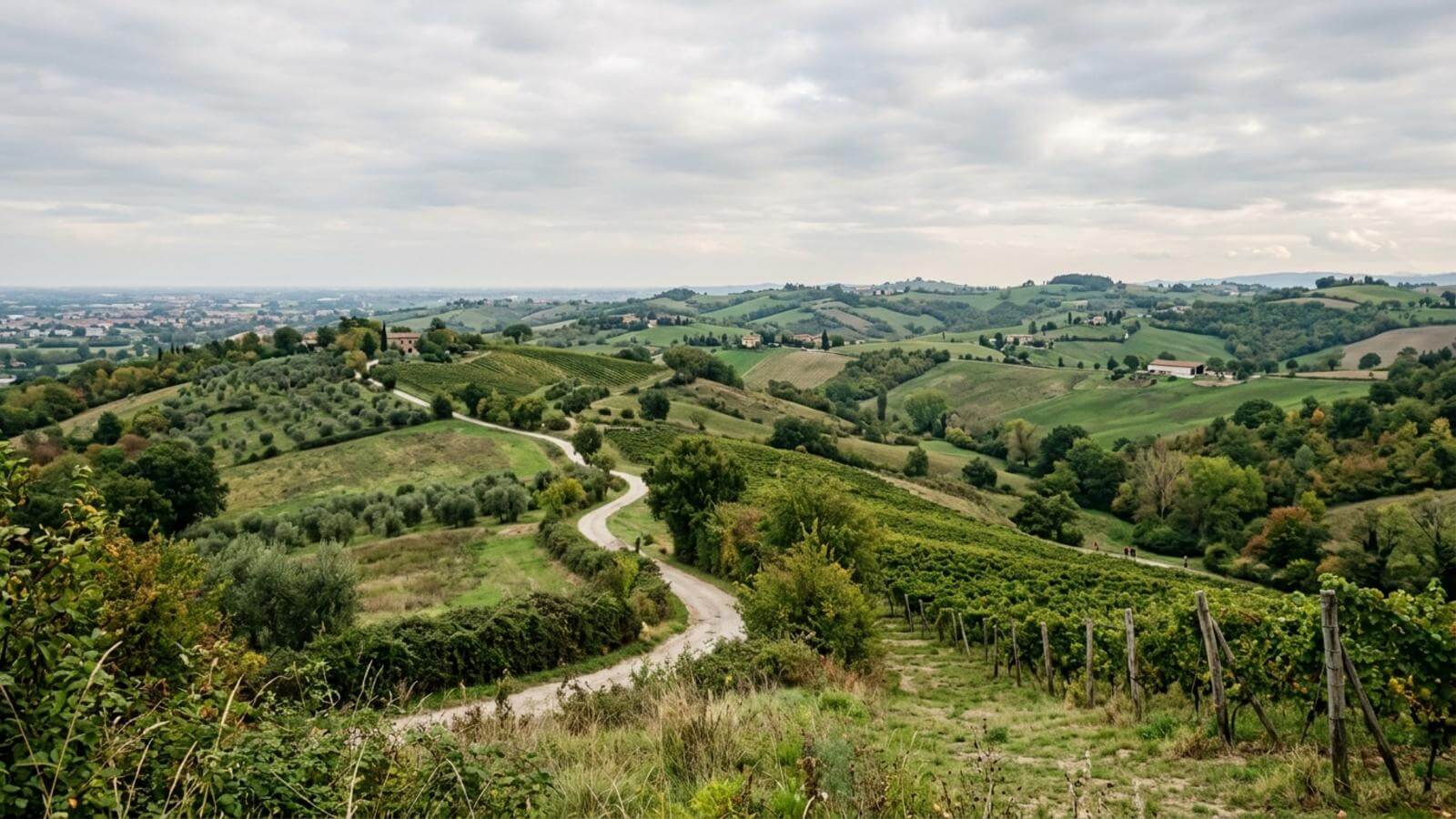 Mejor época para viajar a Cesena