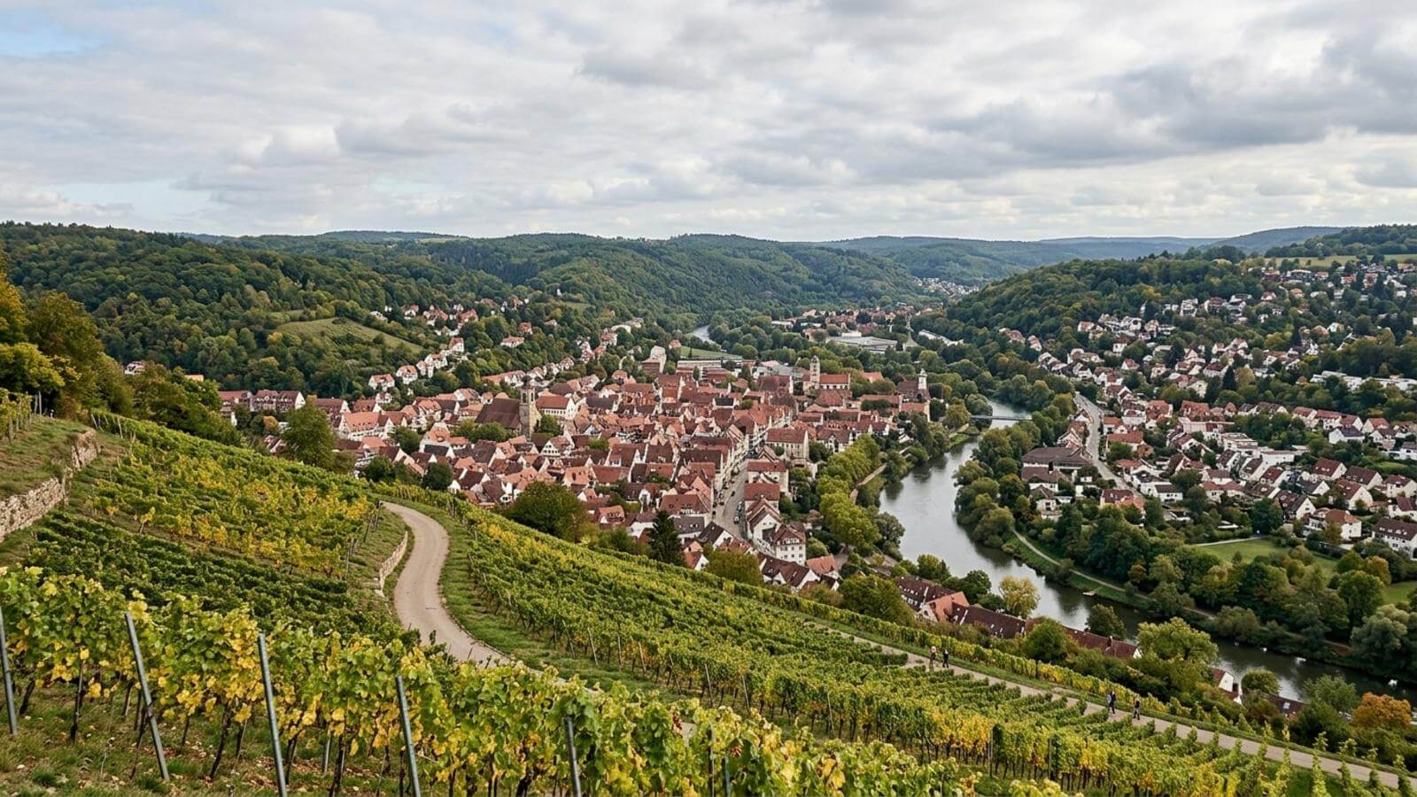 Mejor época para viajar a Esslingen am Neckar
