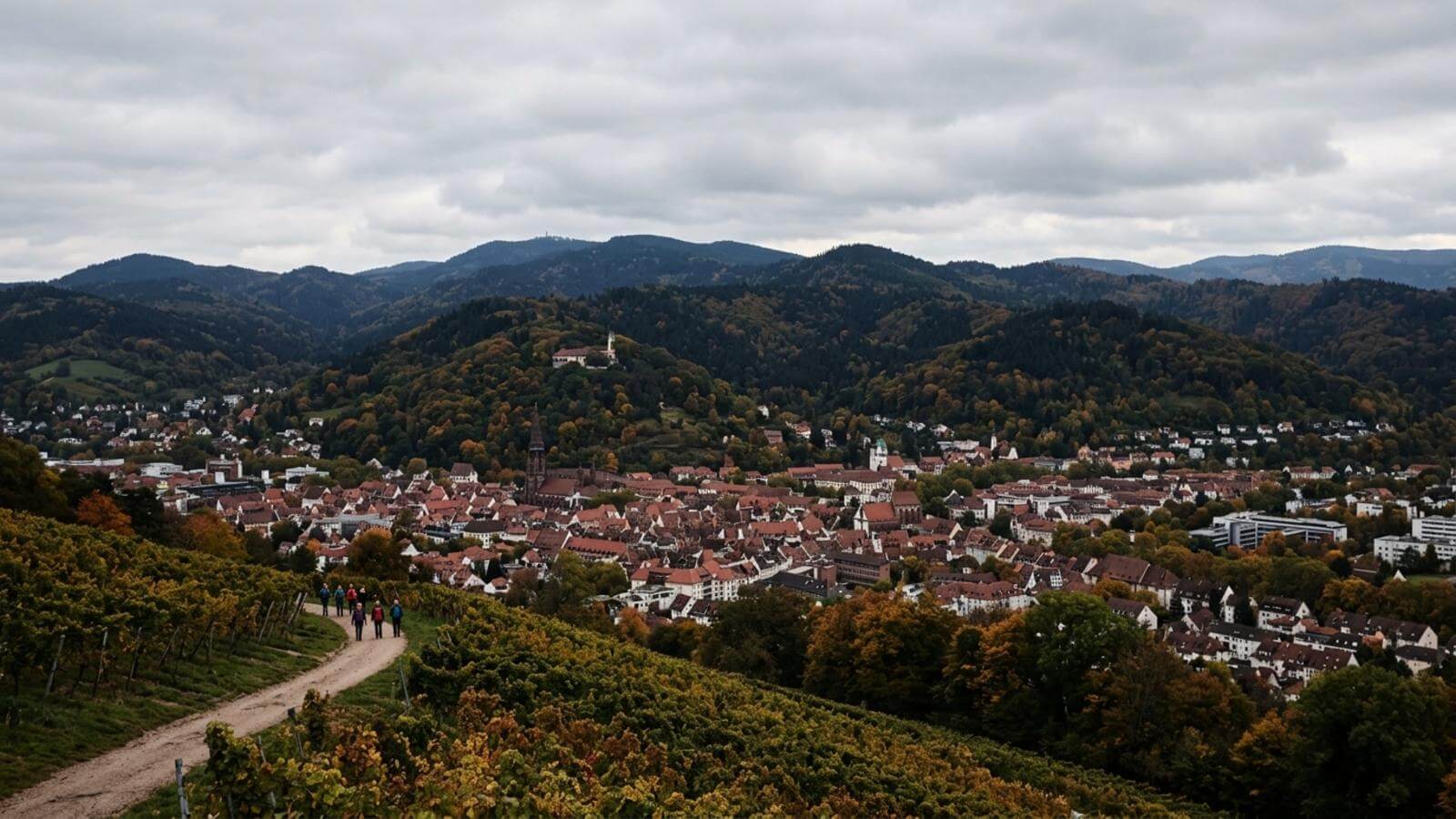 Mejor época para viajar a Freiburg im Breisgau