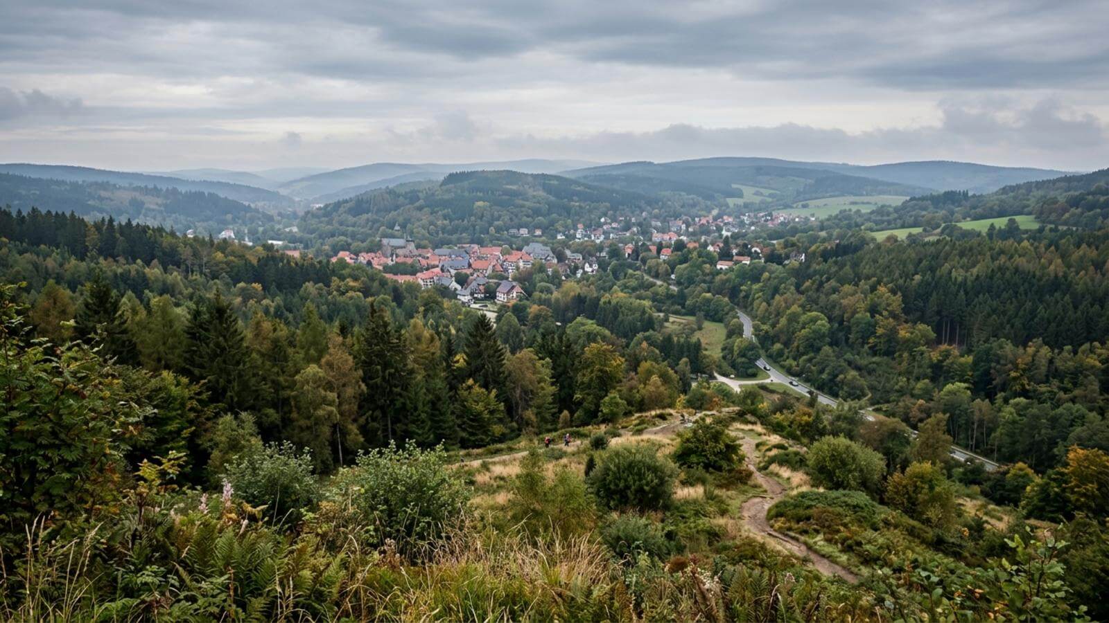 Mejor época para viajar a Goslar