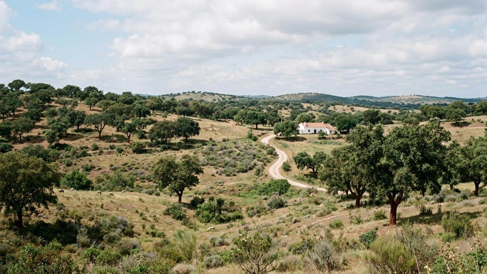 Mejor época para viajar a Grândola