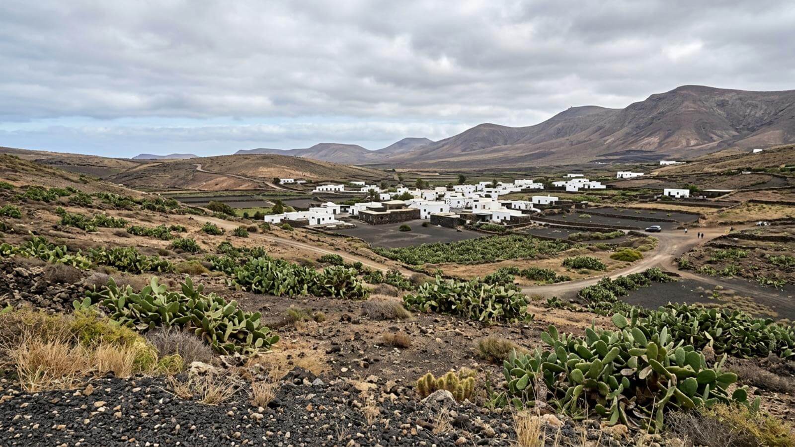 Mejor época para viajar a Guatiza