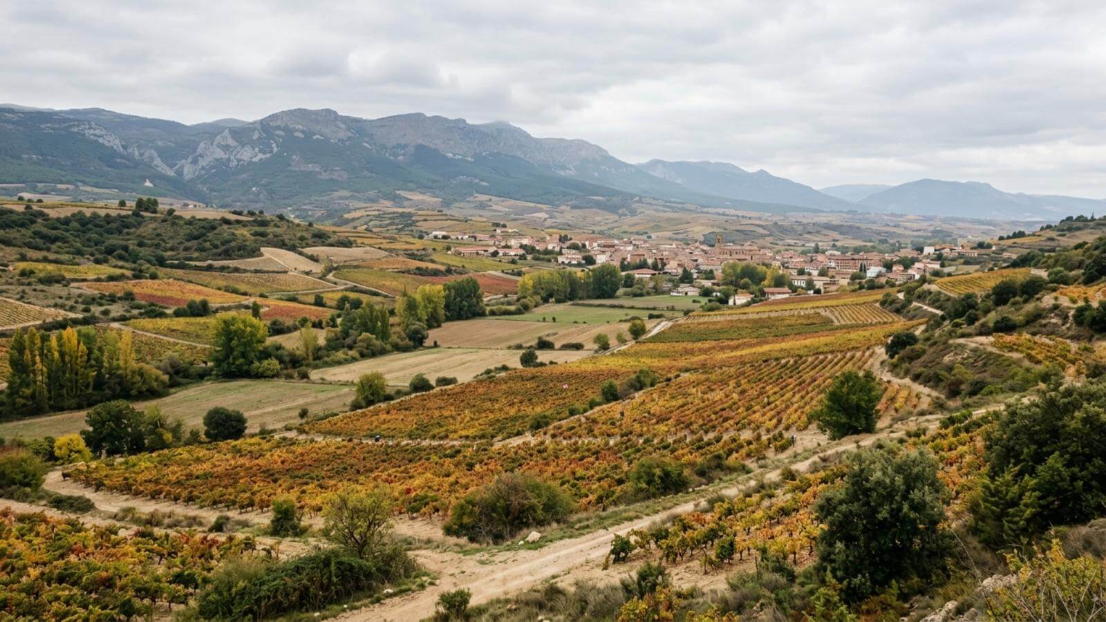 Mejor época para viajar a Haro