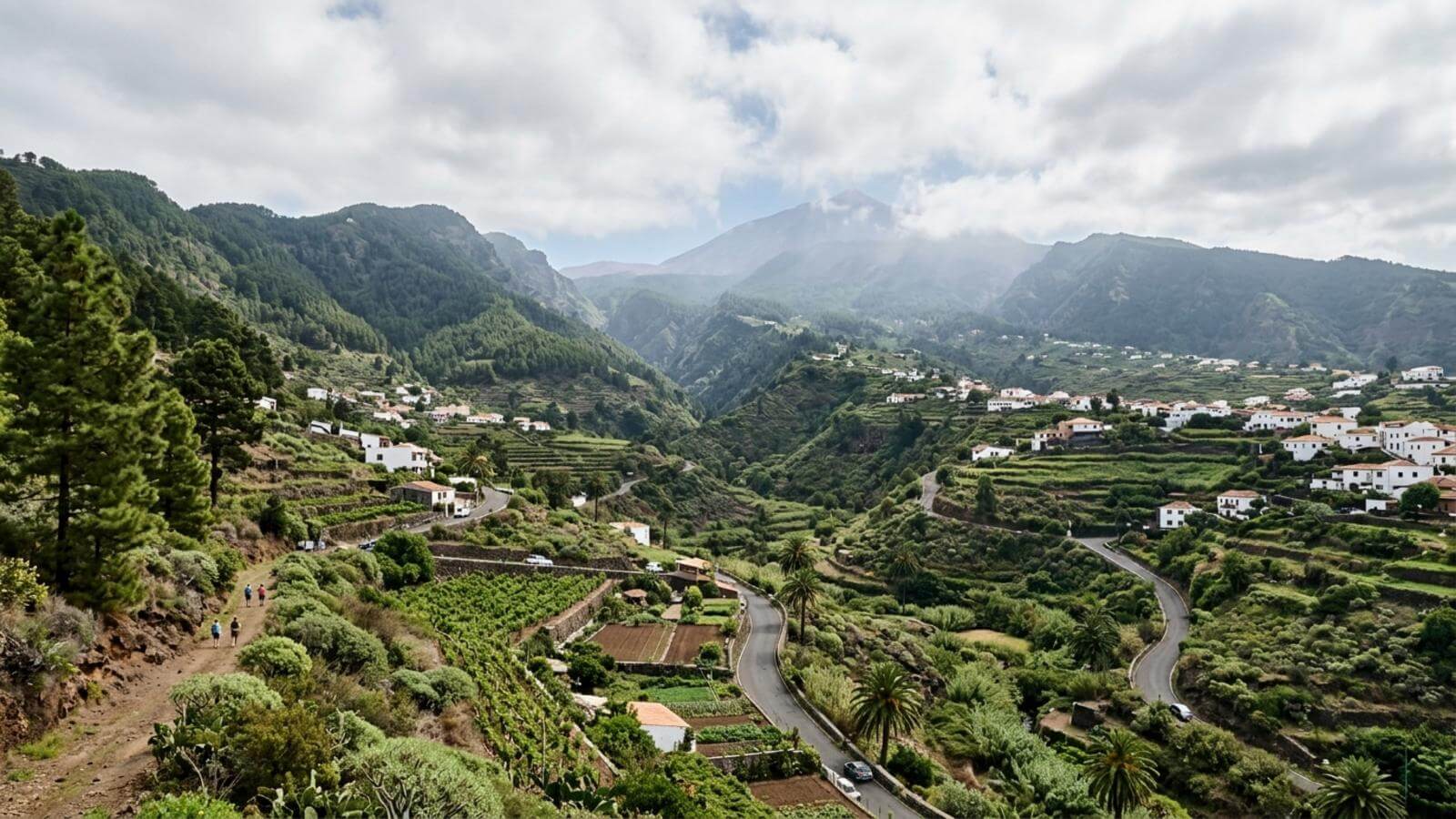 Mejor época para viajar a Icod de los Vinos
