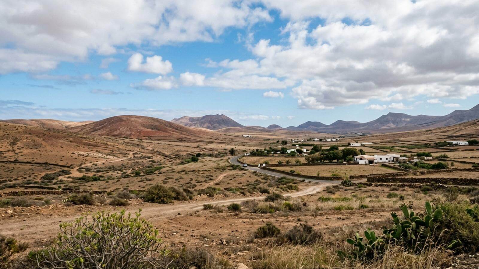 Mejor época para viajar a La Oliva