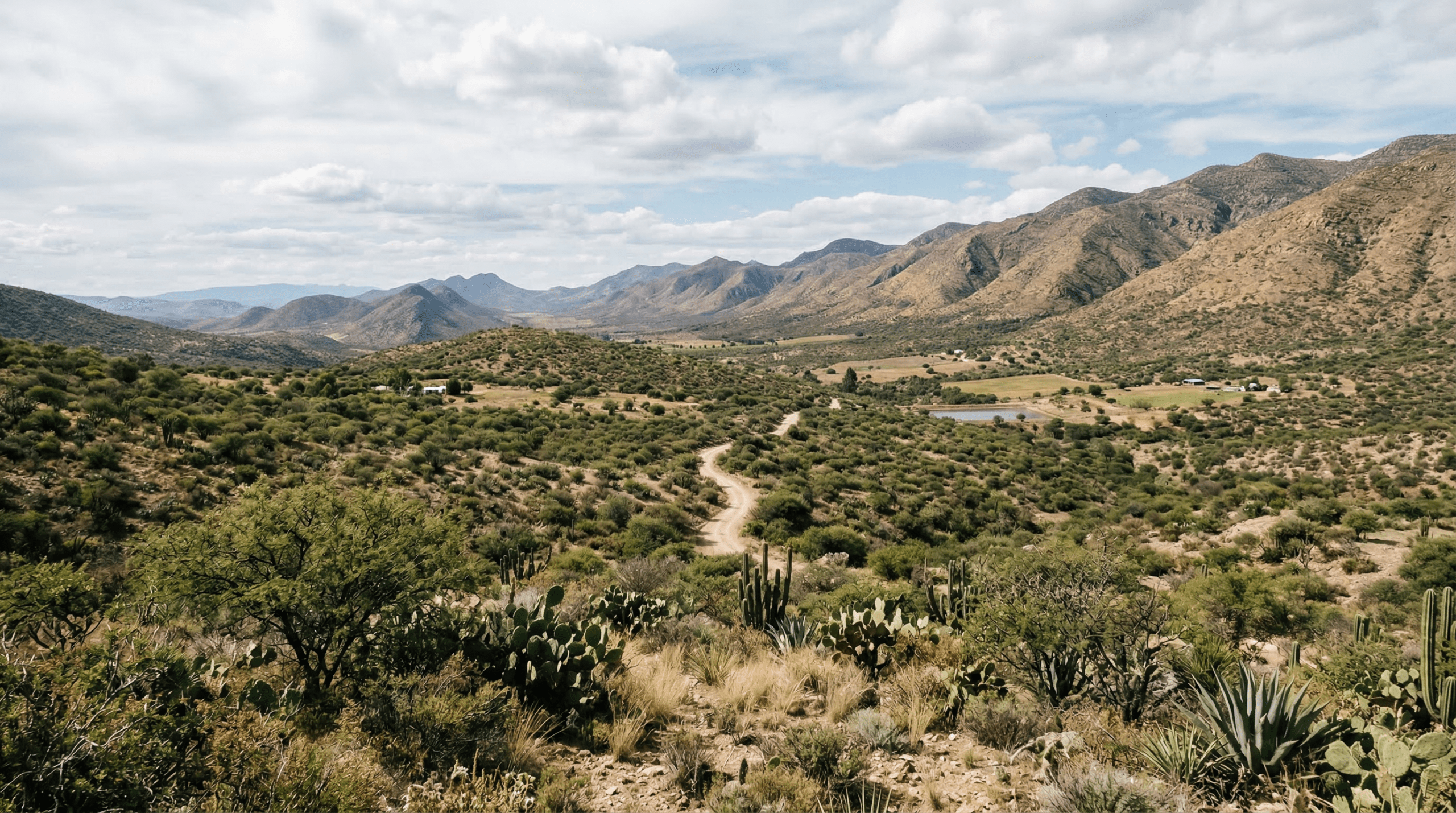 Mejor época para viajar a Aguascalientes