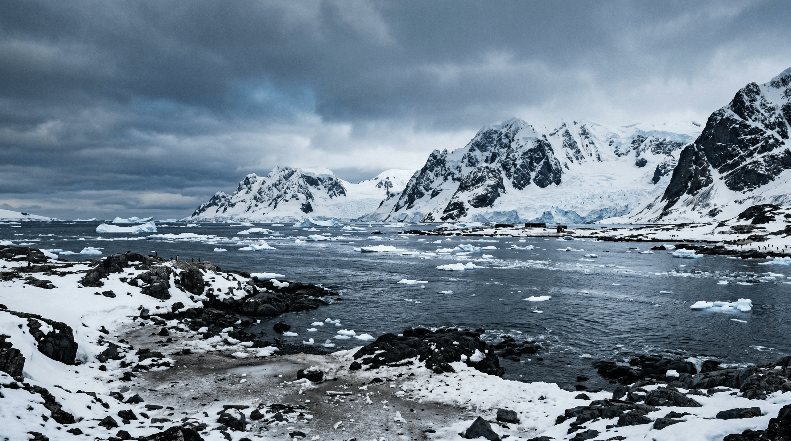 Mejor época para viajar a la Antártida