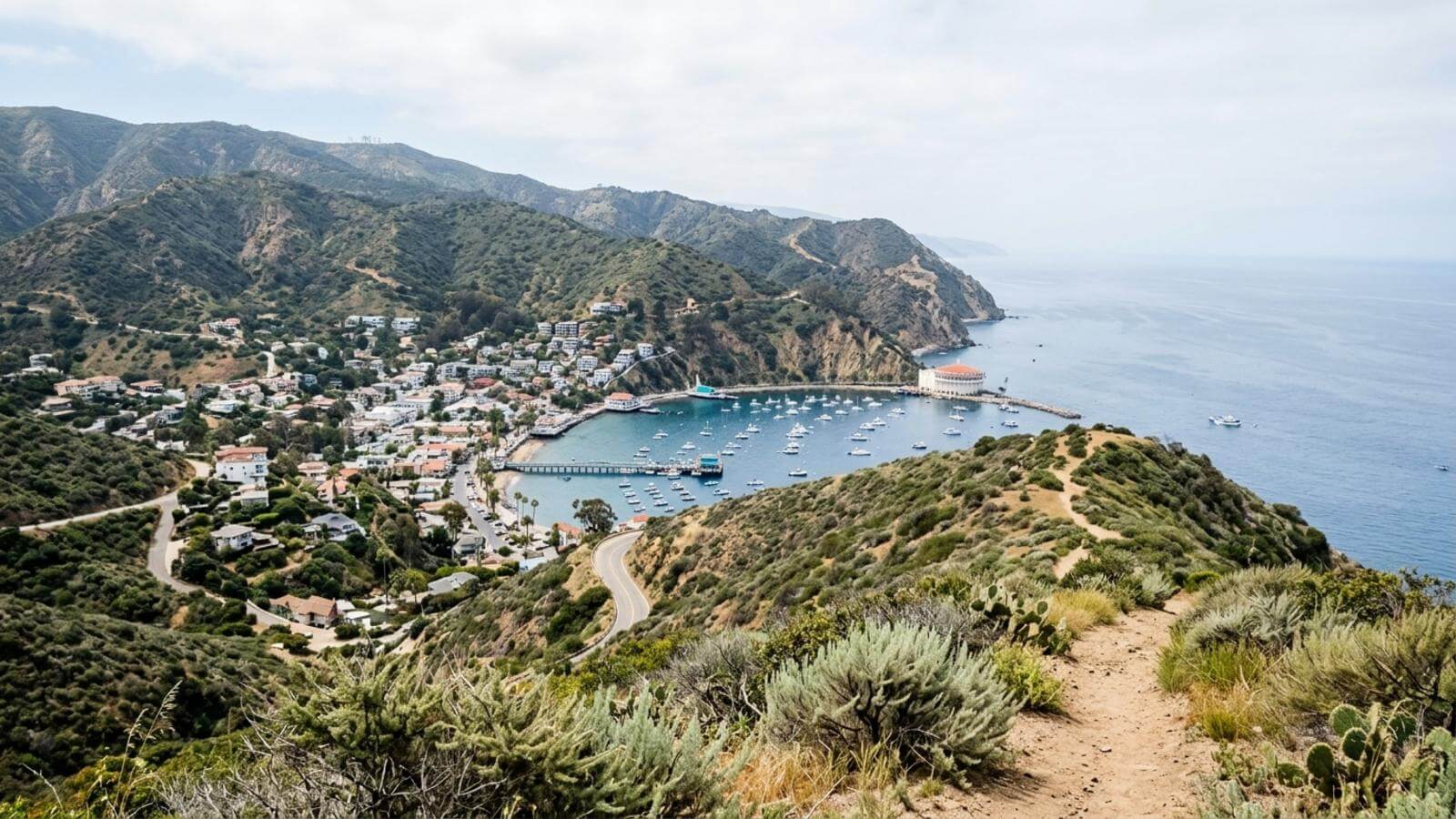 Mejor época para viajar a Avalon (California)