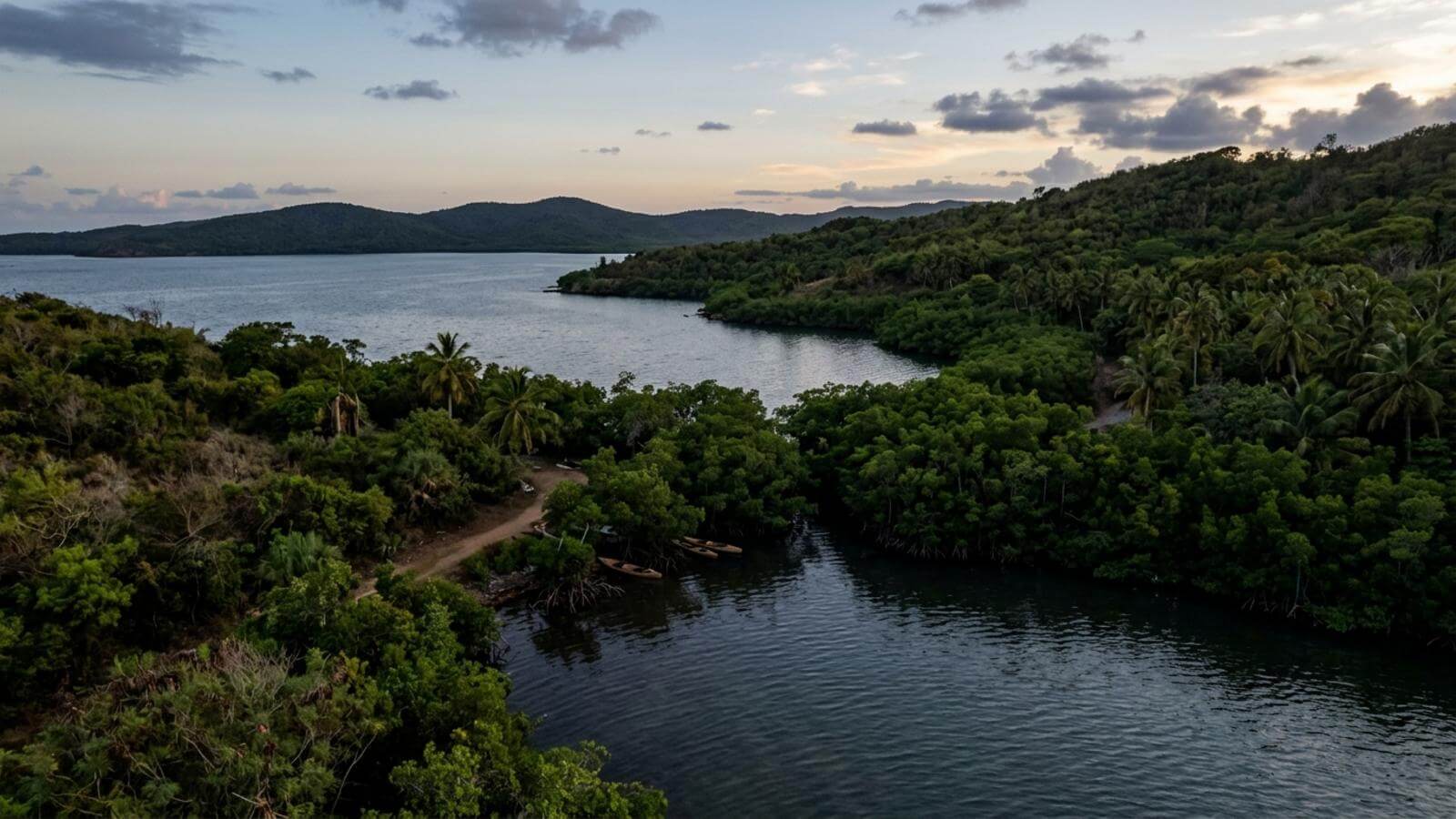 Mejor época para viajar a la bahía bioluminiscente de Vieques