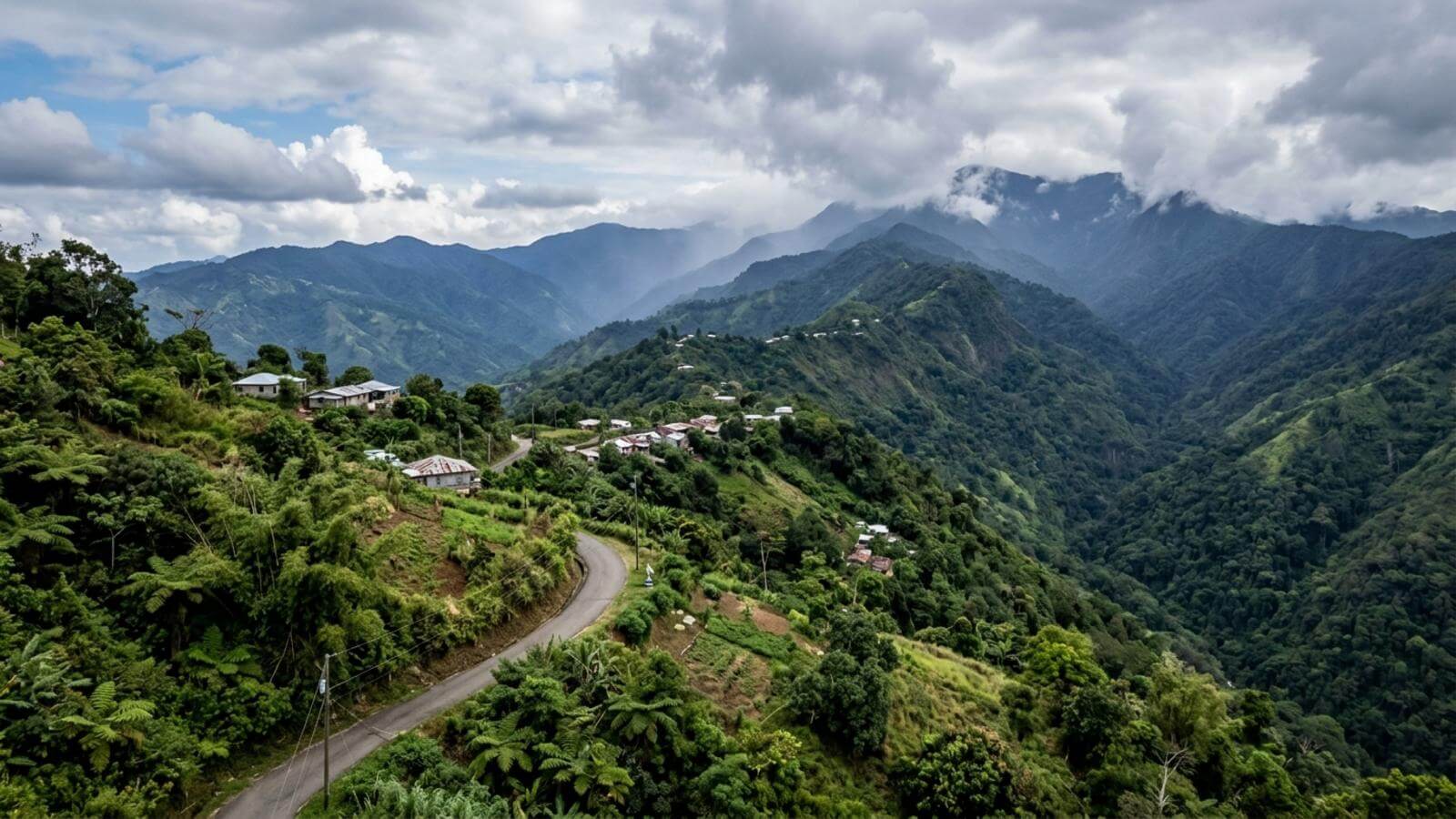 Mejor época para viajar a las Blue Mountains (Jamaica)
