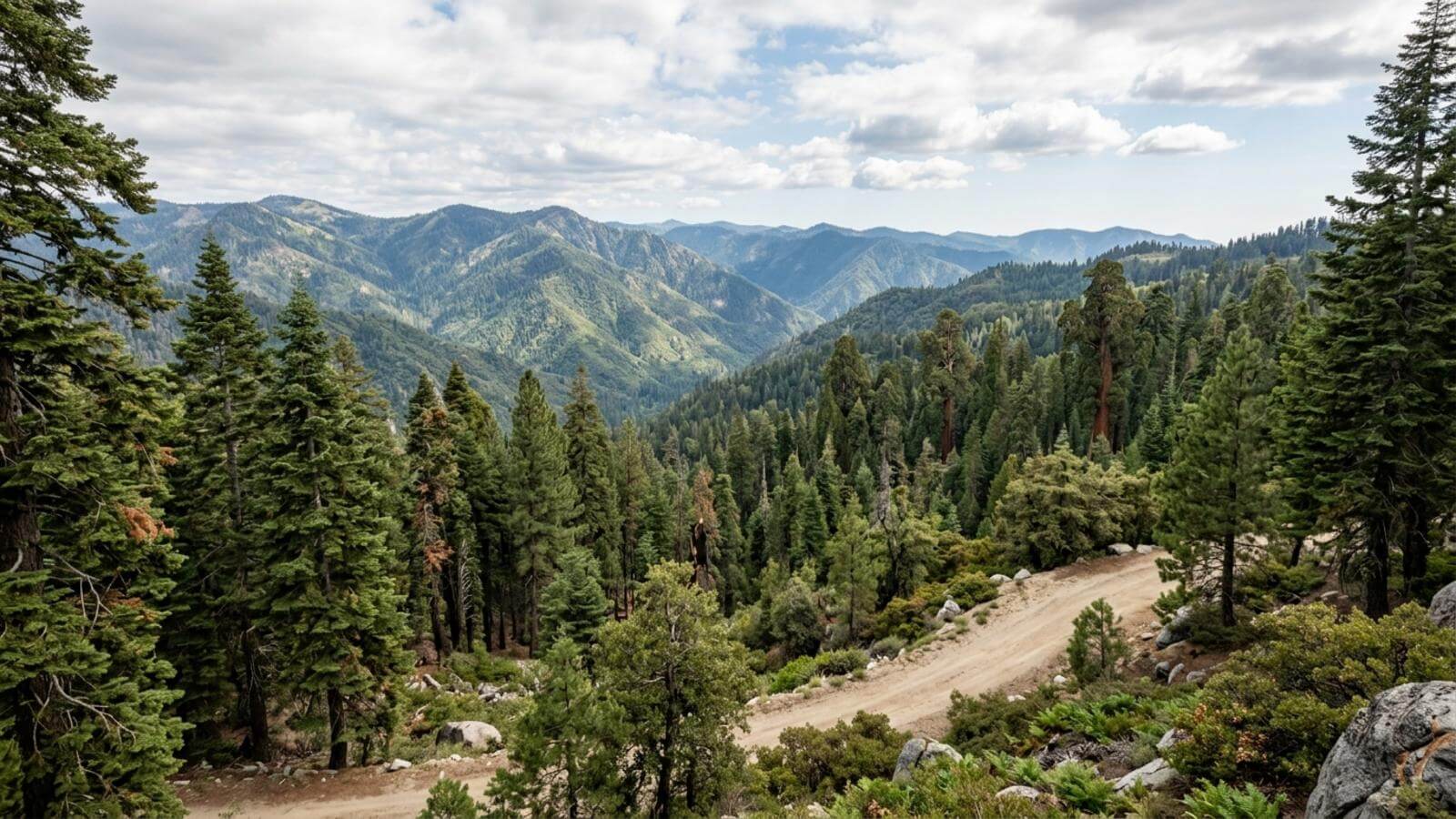 Mejor época para viajar al bosque nacional Sequoia