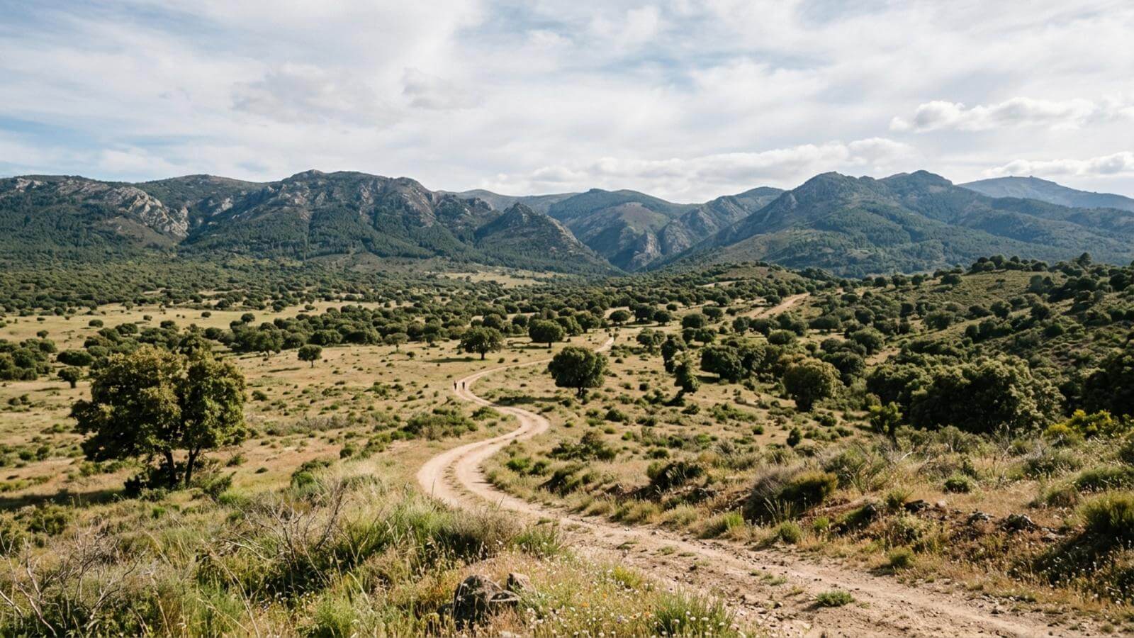 Mejor época para viajar a Cabañeros