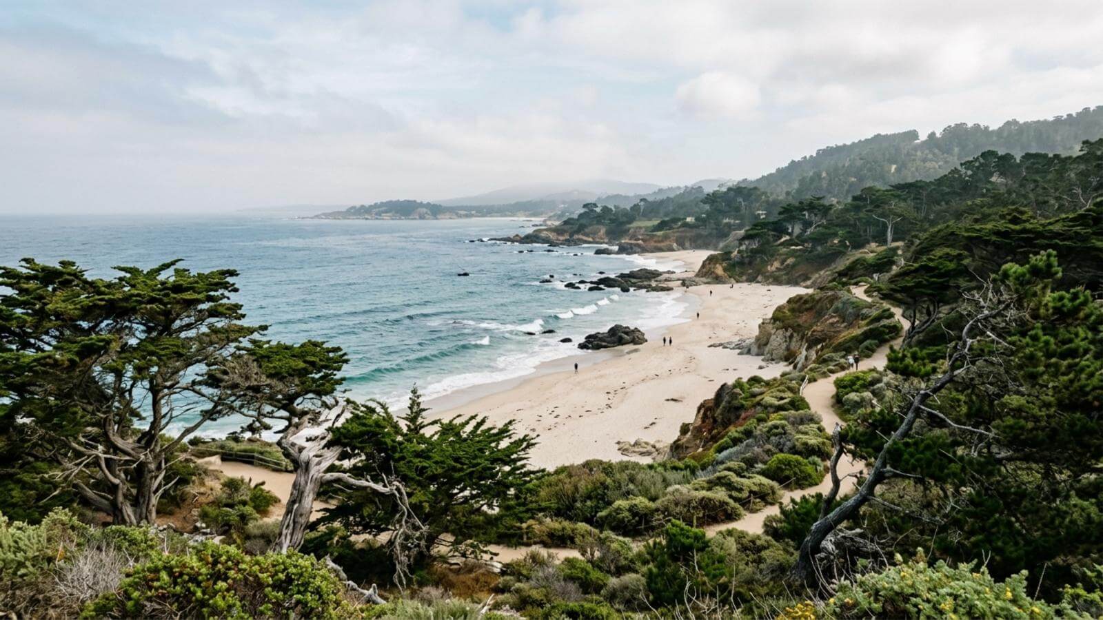 Mejor época para viajar a Carmel-by-the-Sea