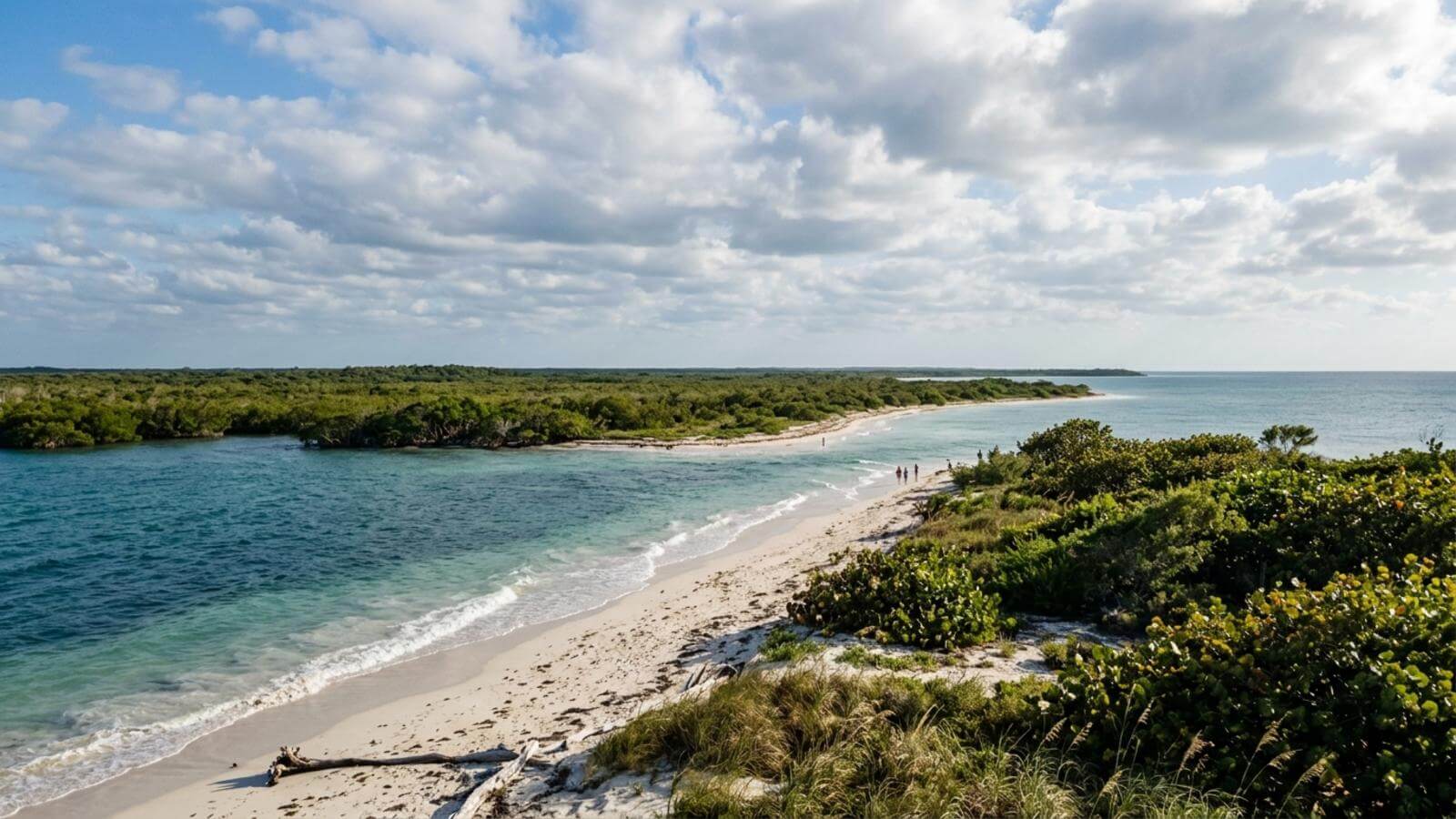 Mejor época para viajar a Cayo Levisa