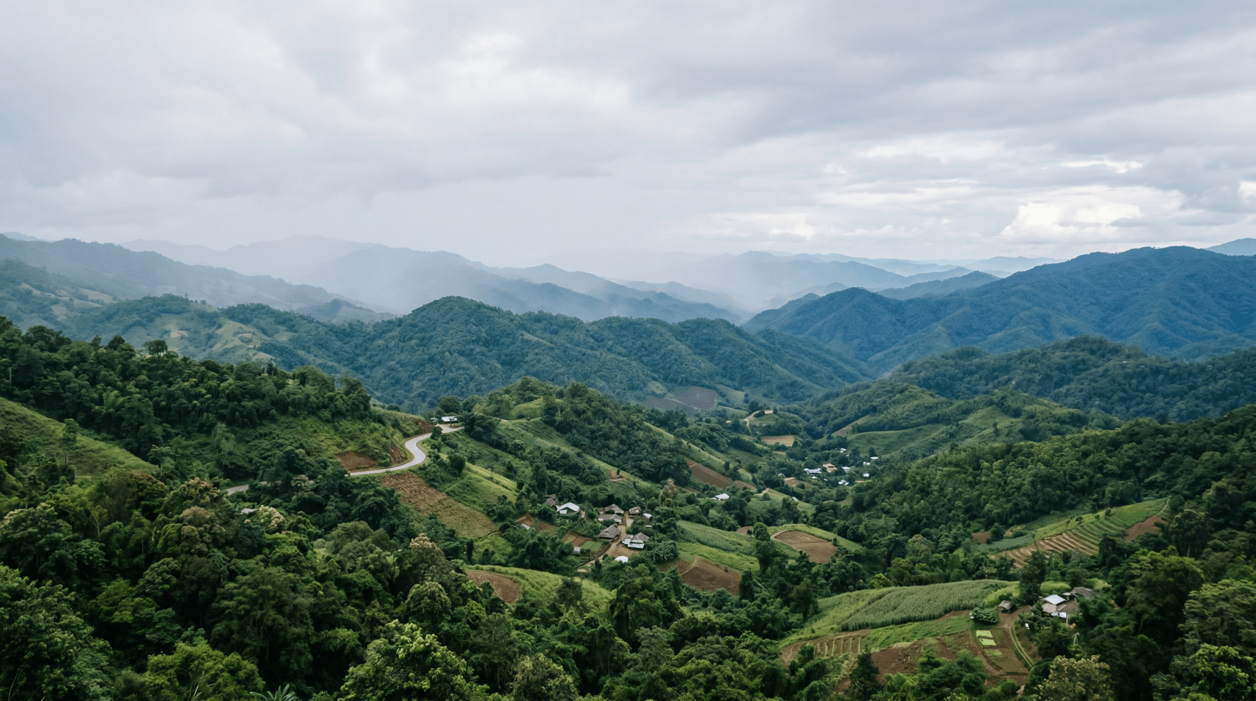 Mejor época para viajar a Chiang Rai