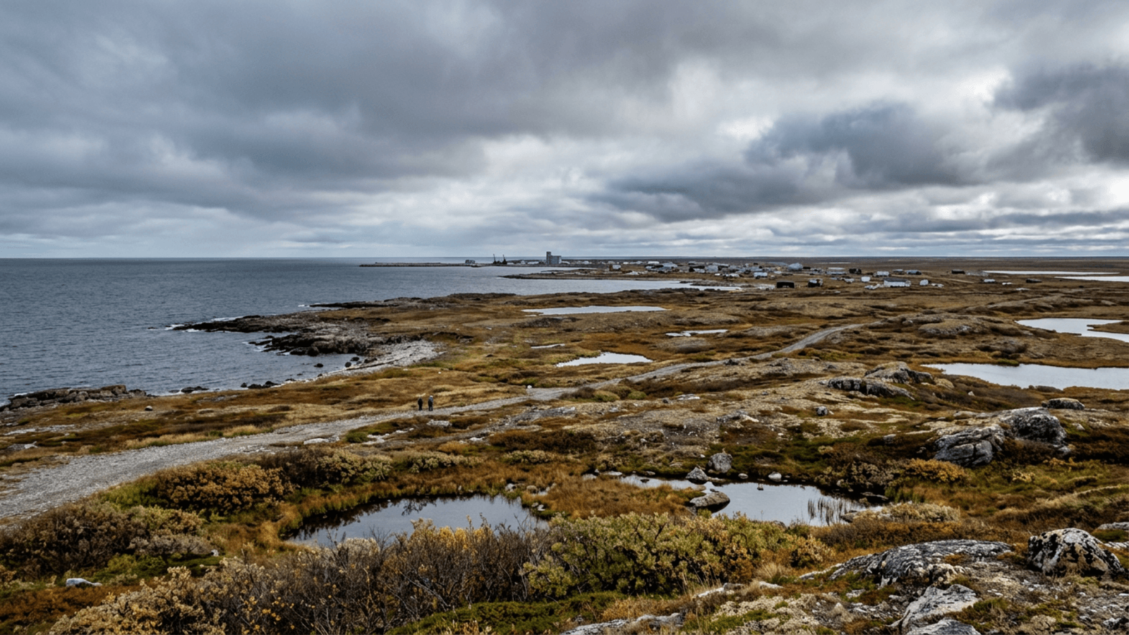 Mejor época para viajar a Churchill (Manitoba)