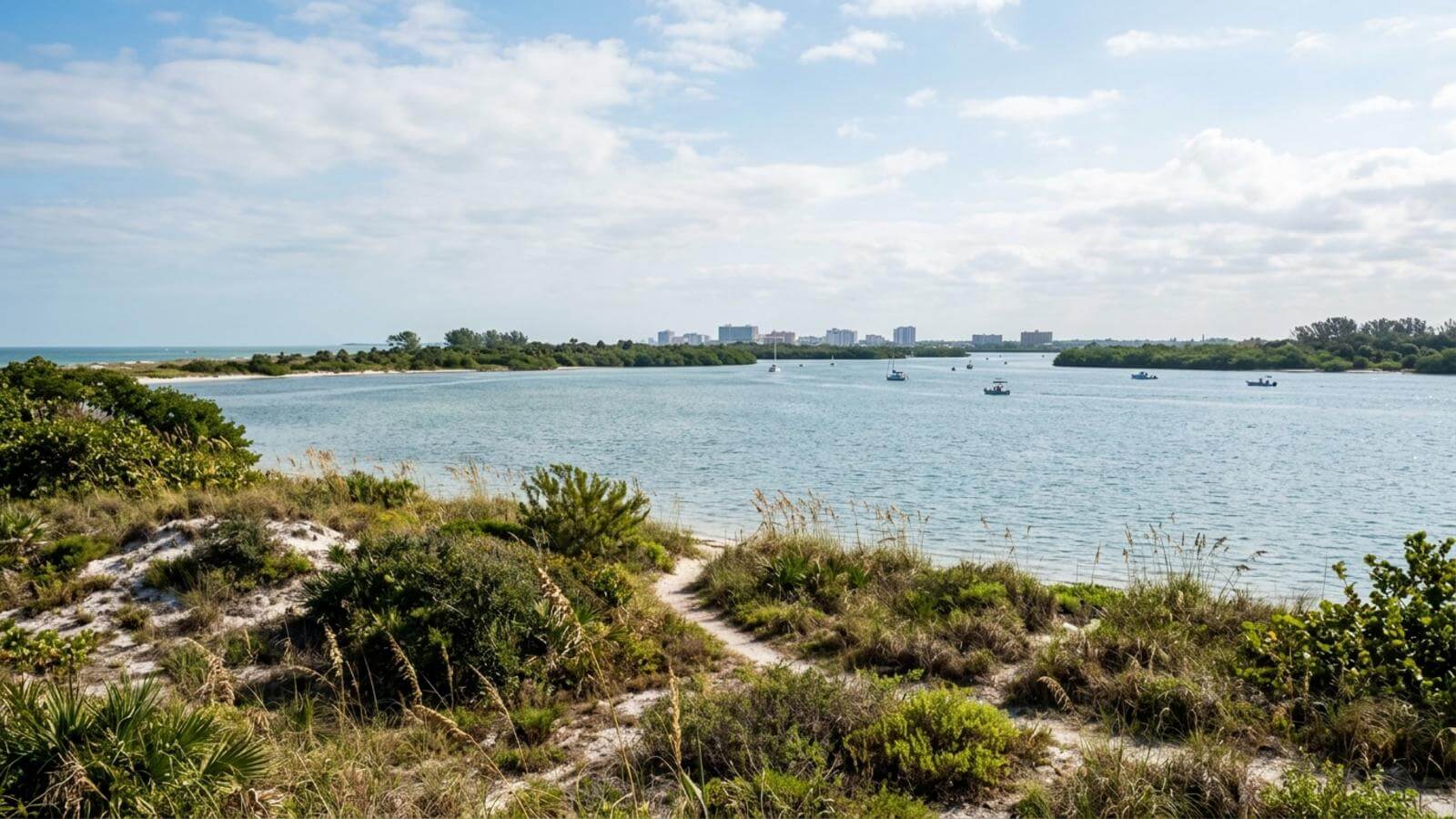 Mejor época para viajar a Clearwater