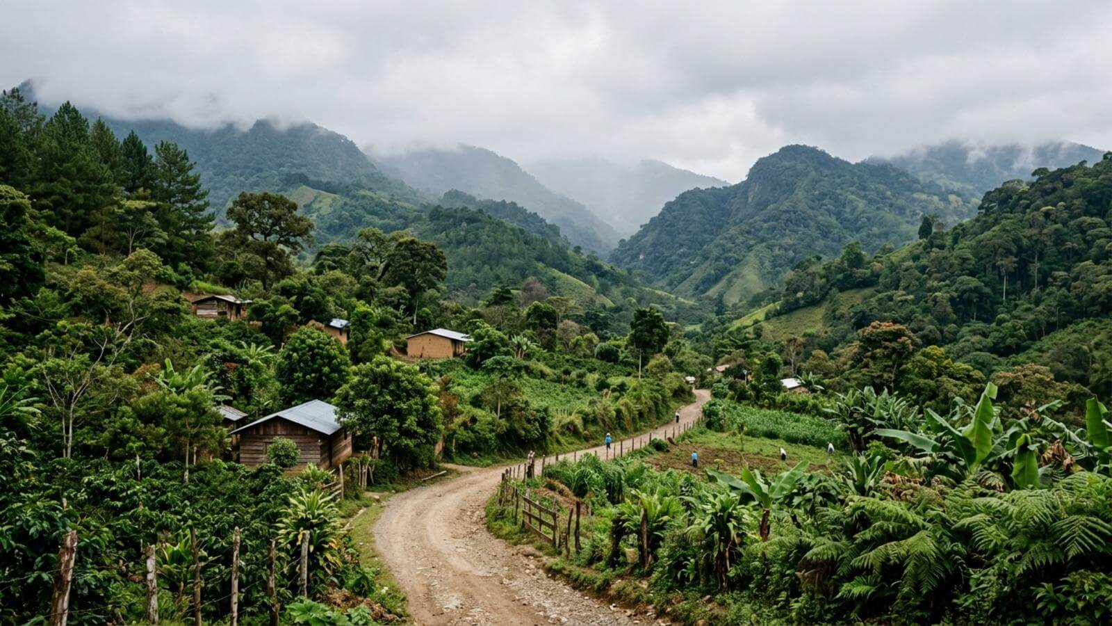 Mejor época para viajar a Cobán