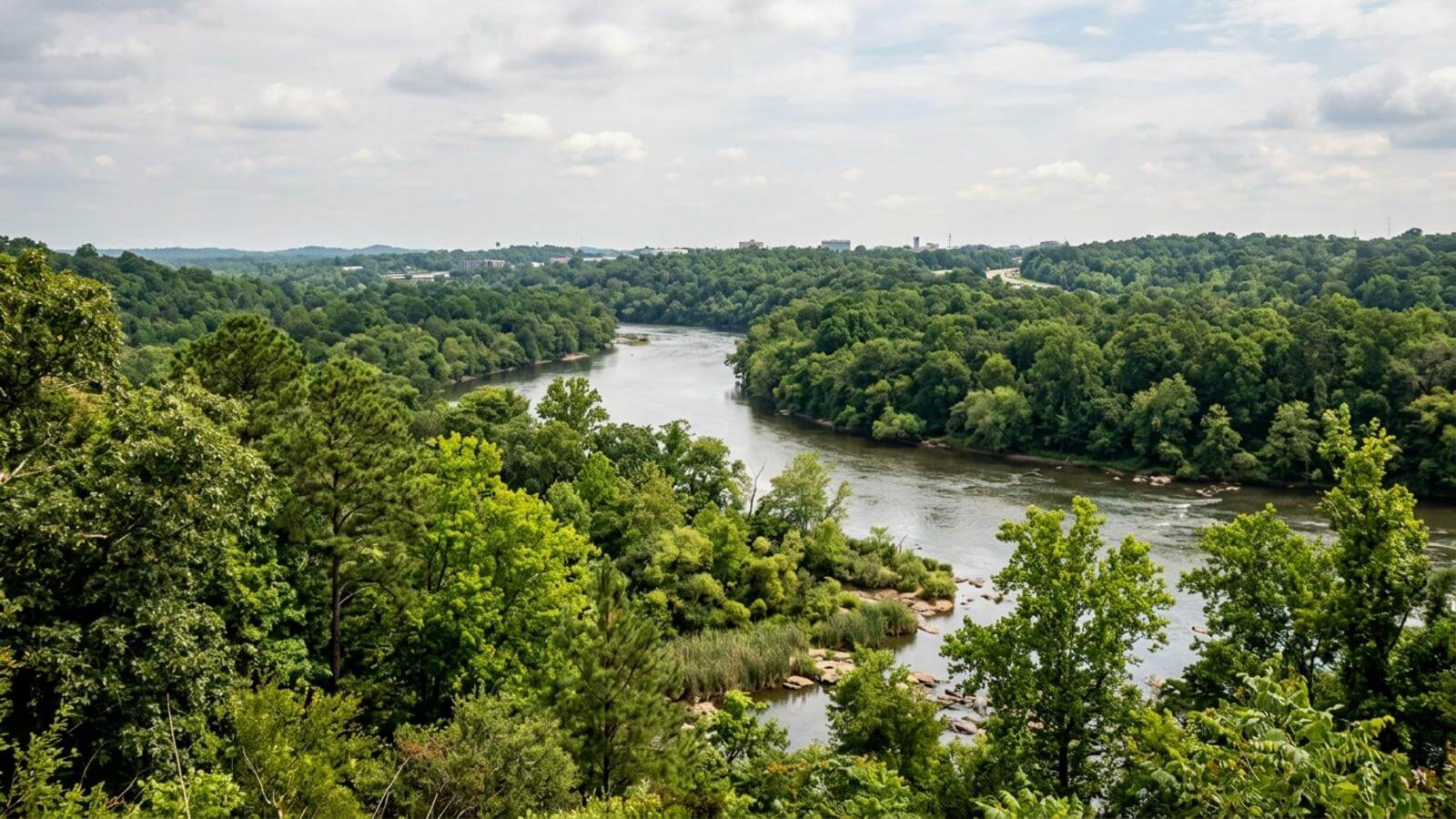 Mejor época para viajar a Columbia (Carolina del Sur)