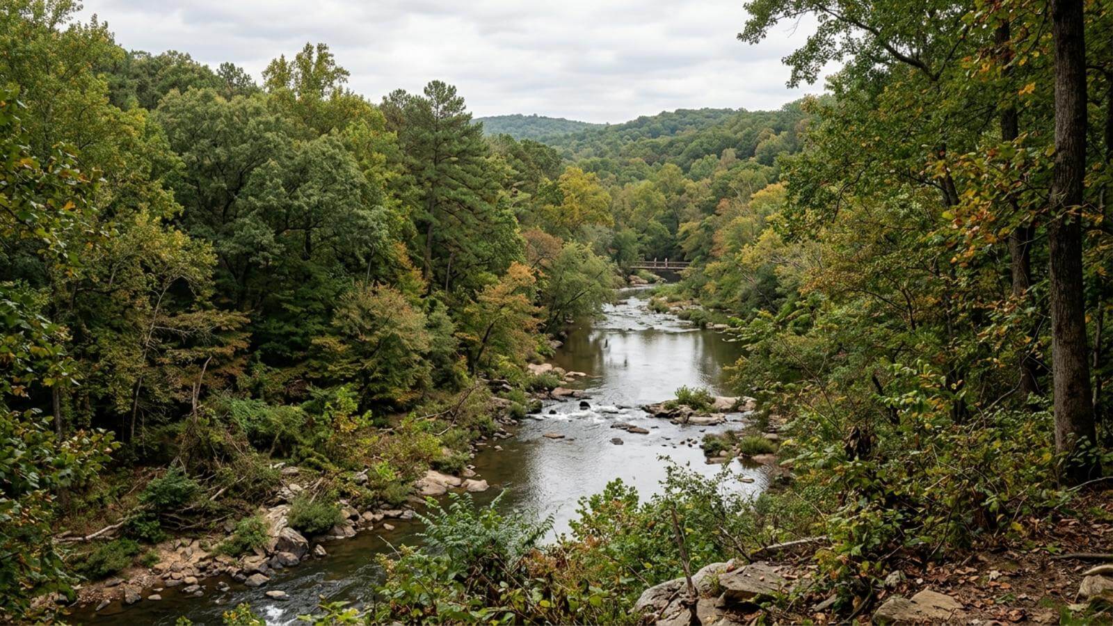 Mejor época para viajar a Durham (Carolina del Norte)