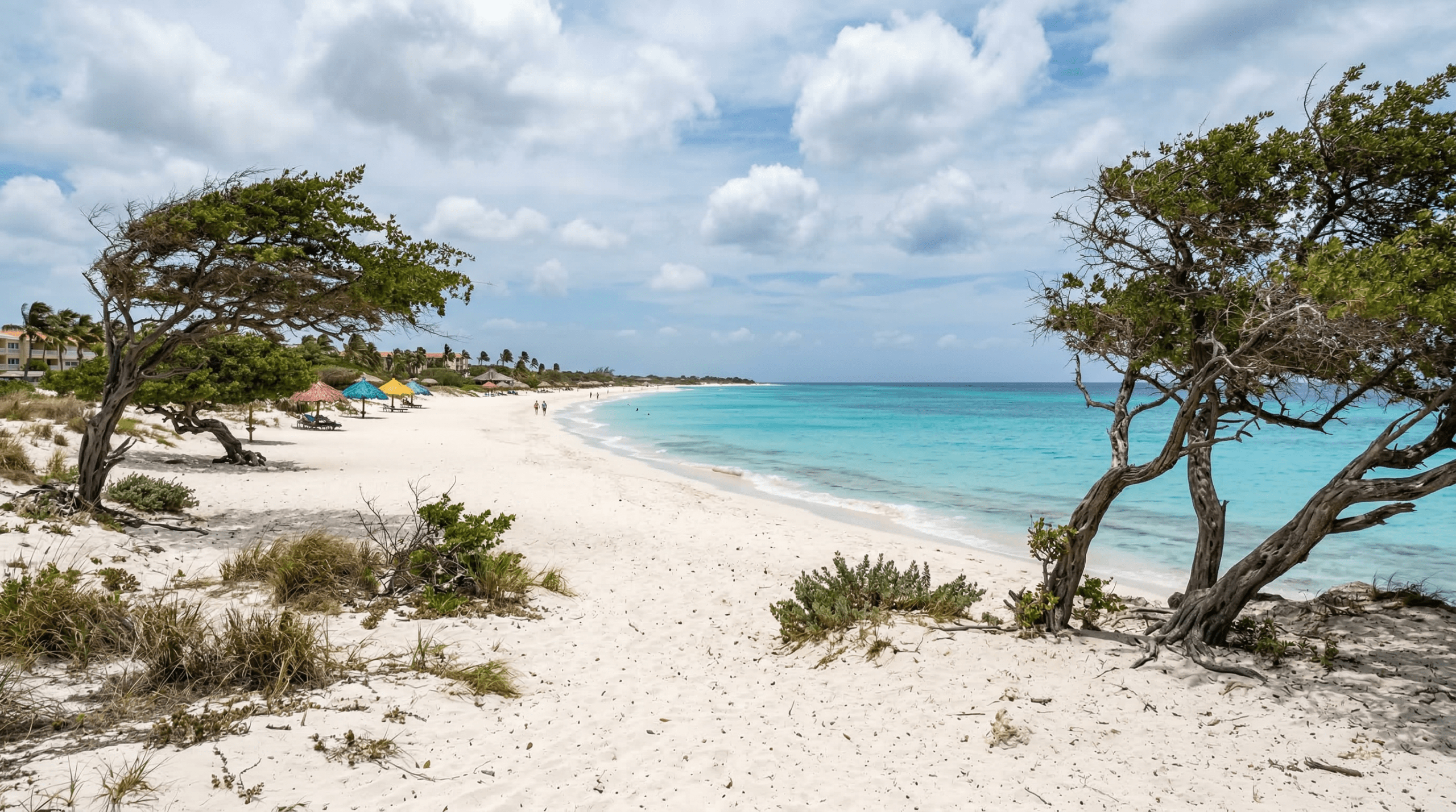 Mejor época para viajar a Eagle Beach