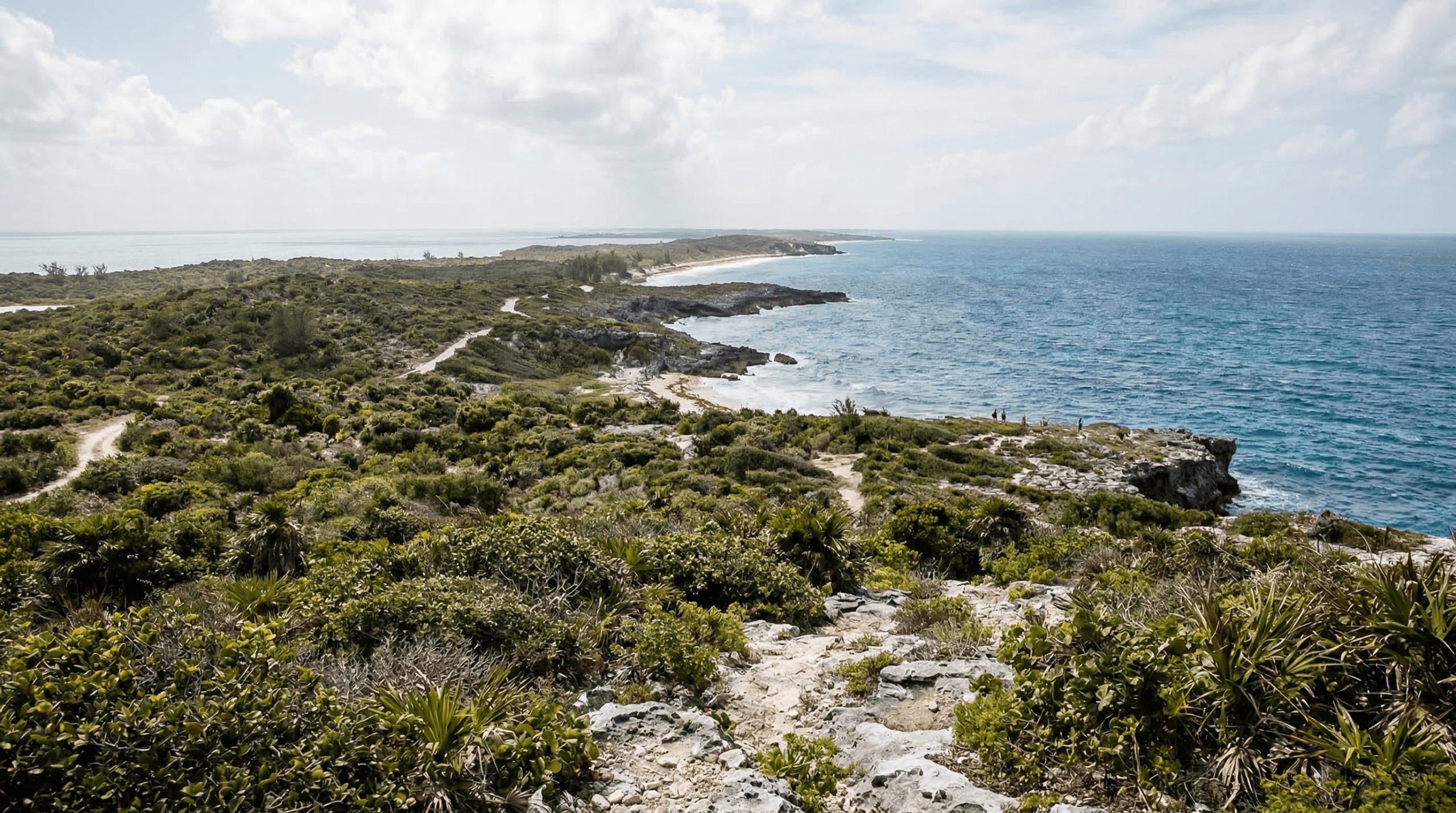 Mejor época para viajar a Eleuthera