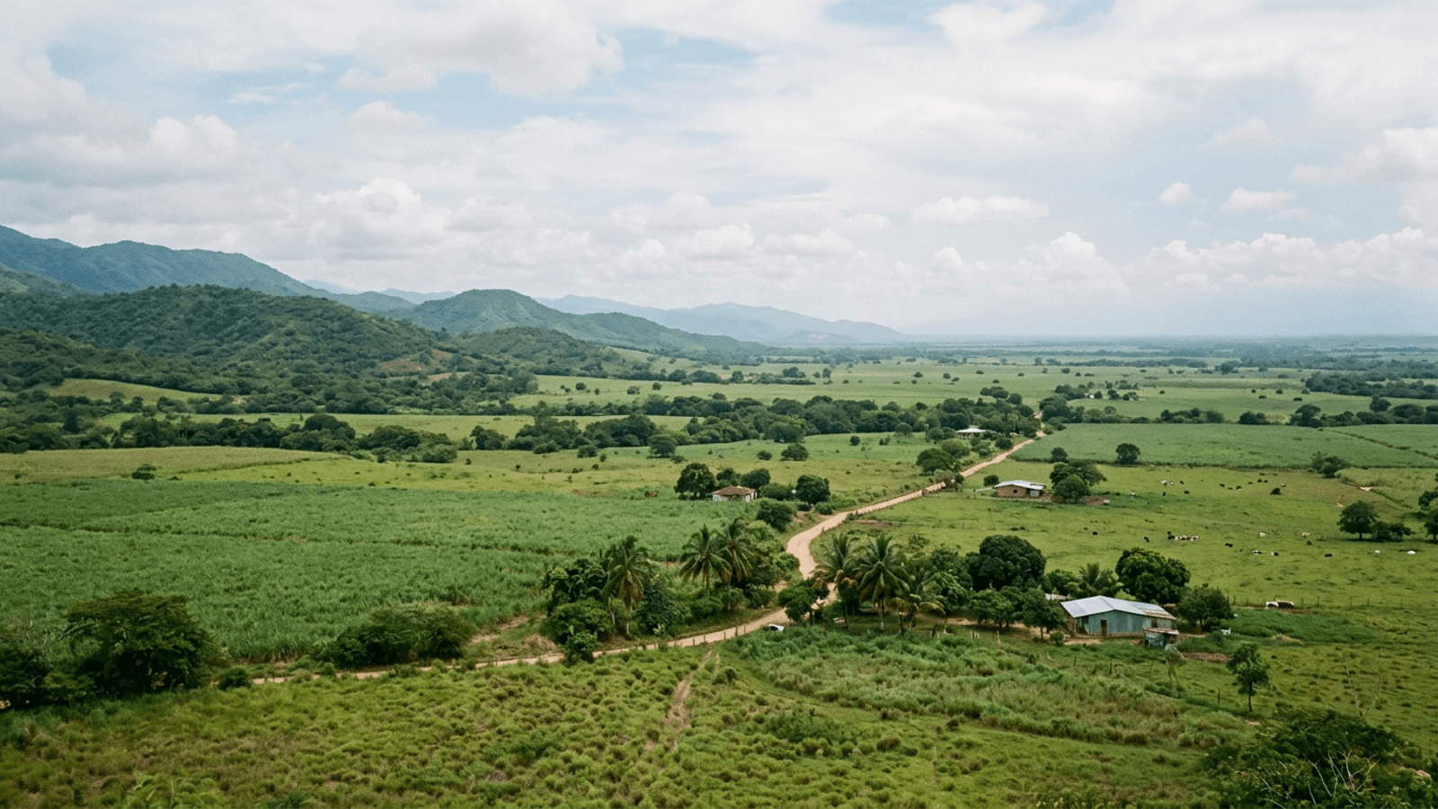 Mejor época para viajar al estado Portuguesa