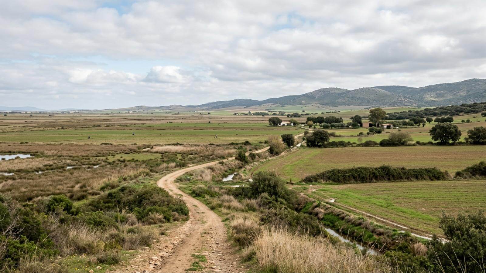 Mejor época para viajar a La Janda