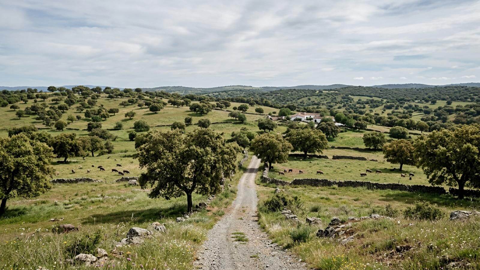 Mejor época para viajar a Los Pedroches