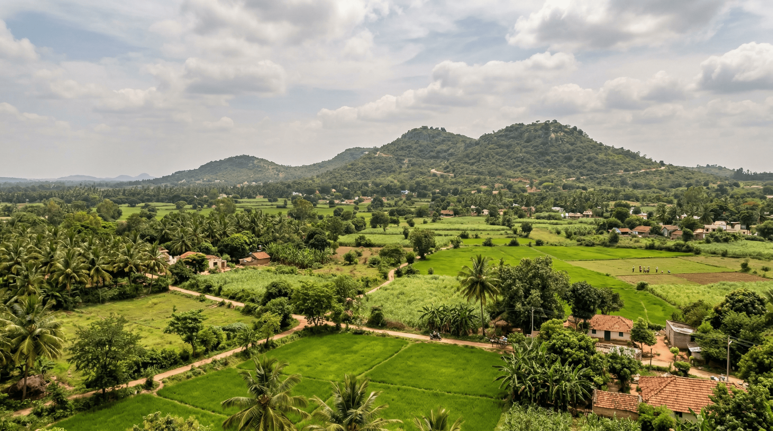 Mejor época para viajar a Mysore