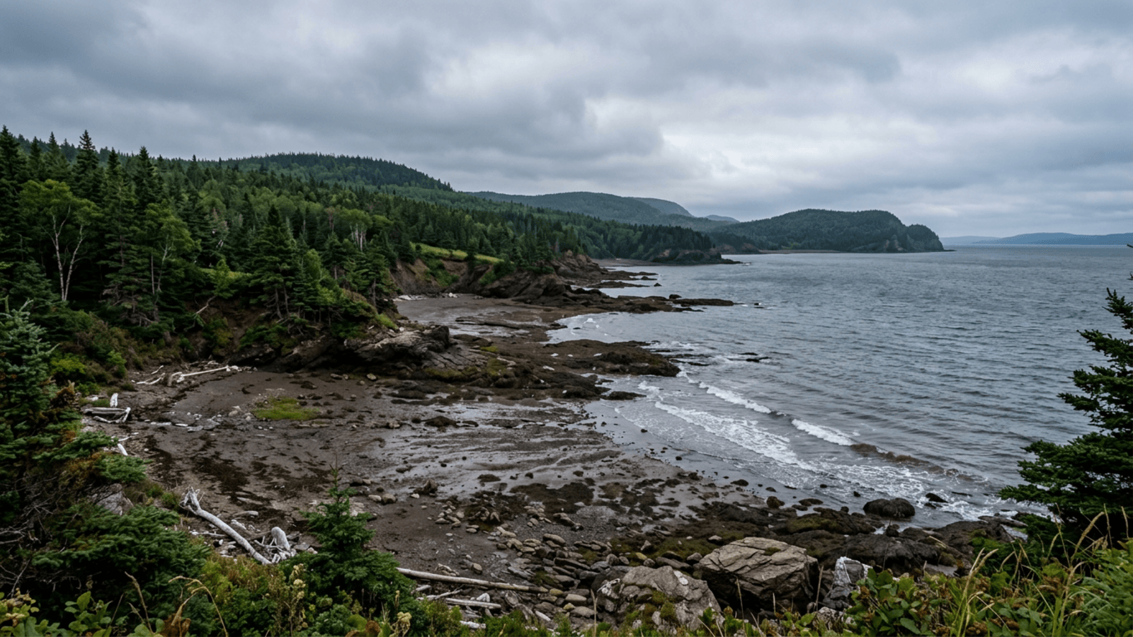 Mejor época para viajar a Nuevo Brunswick