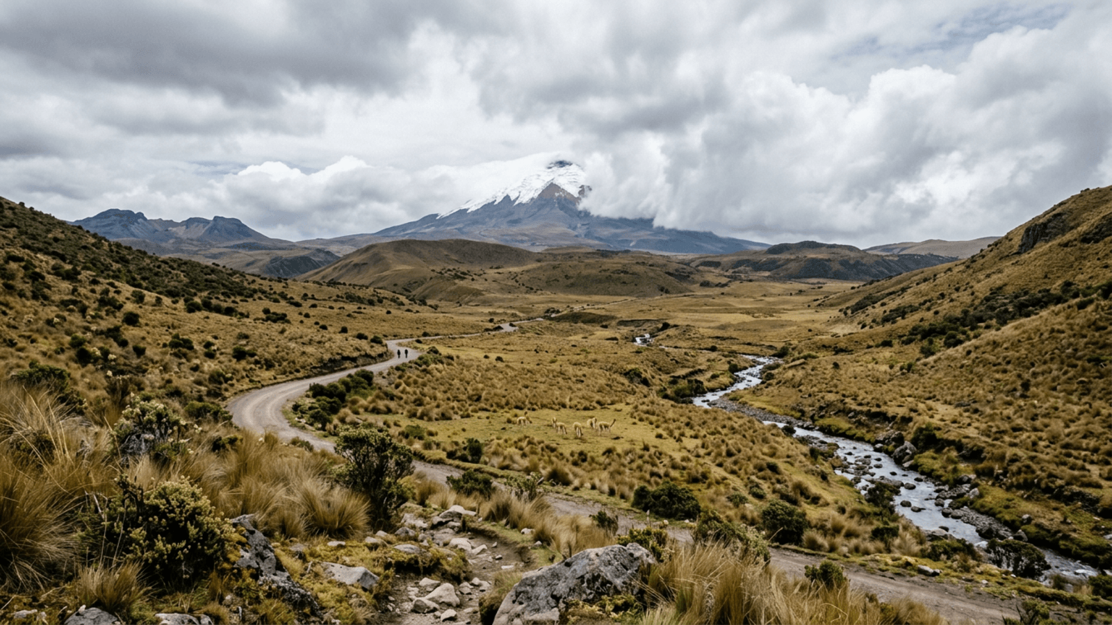 Mejor época para viajar al Parque Nacional Cotopaxi