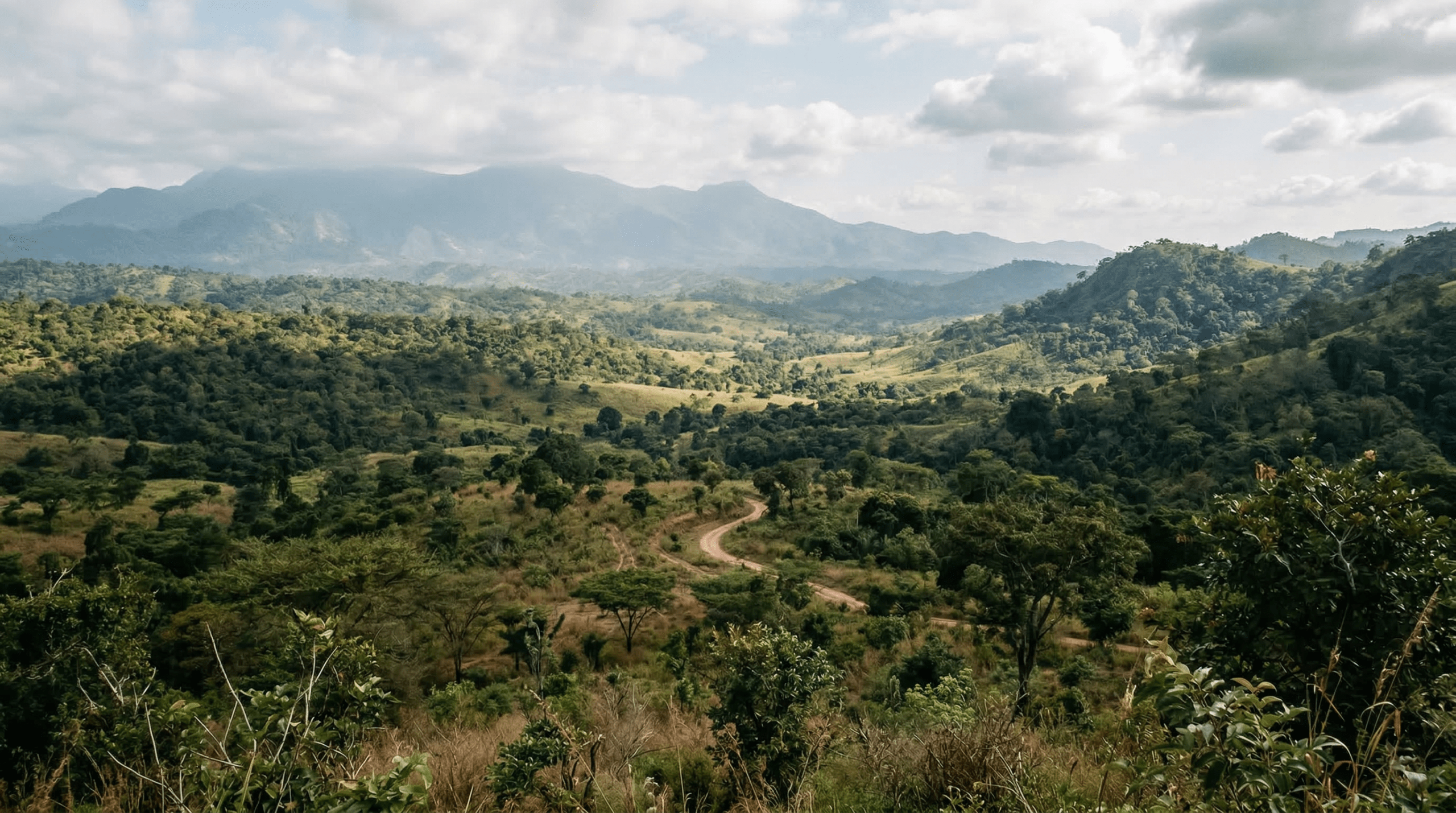 Mejor época para viajar al Parque Nacional Gashaka-Gumti
