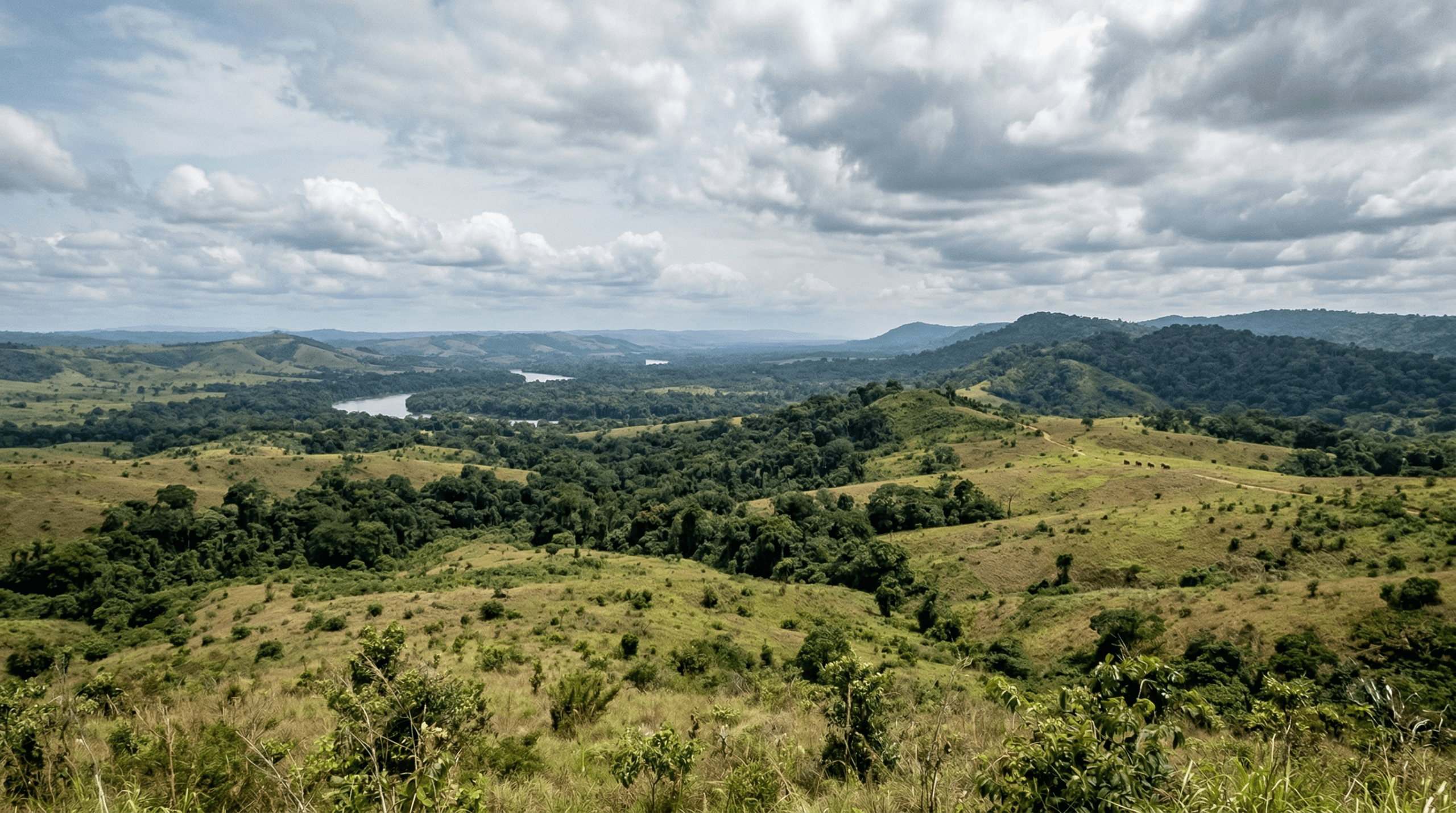 Mejor época para viajar al Parque Nacional Lopé