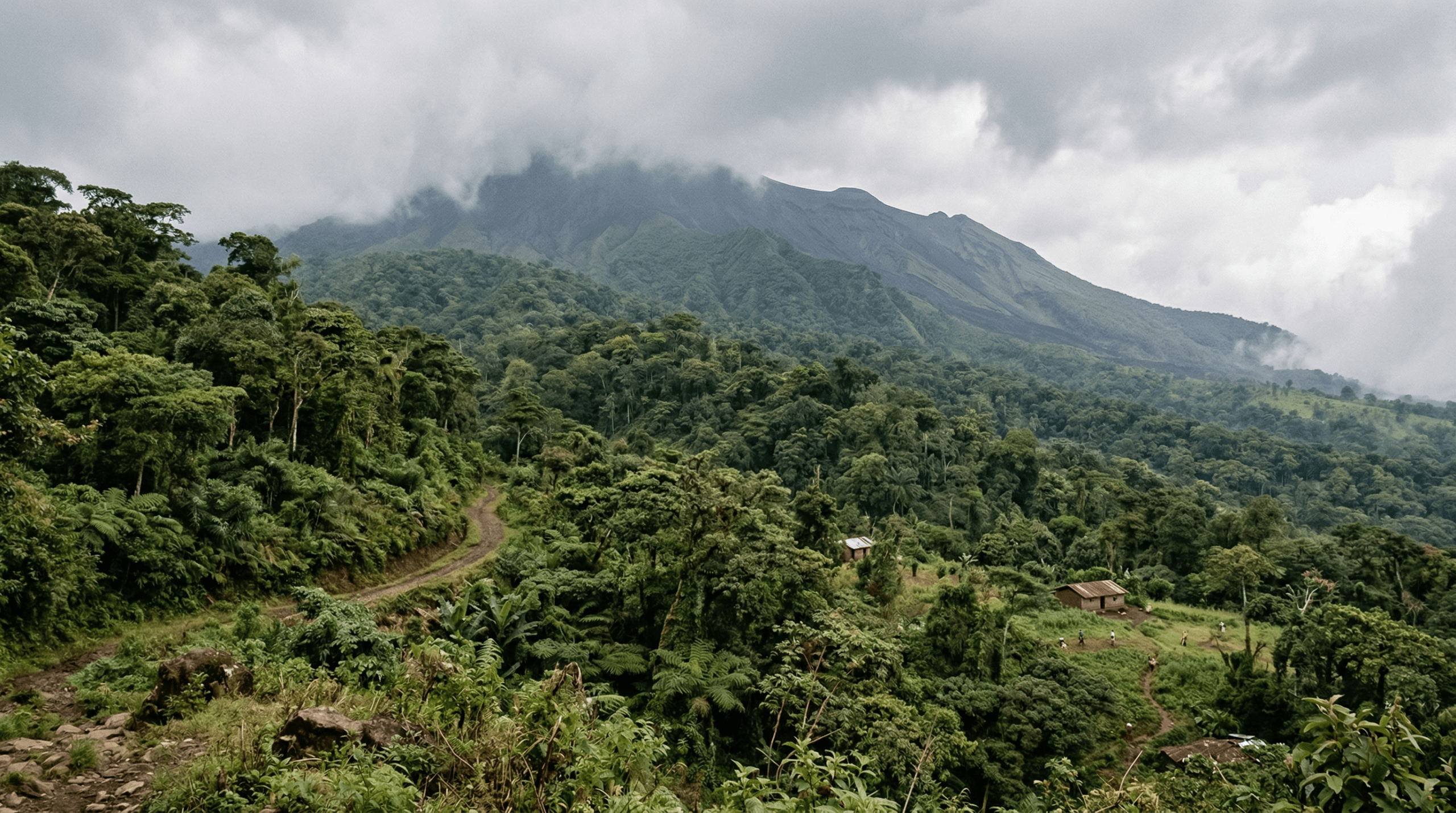 Mejor época para viajar al Parque Nacional Mount Cameroon