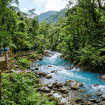 Mejor época para viajar al Parque Nacional Volcán Tenorio