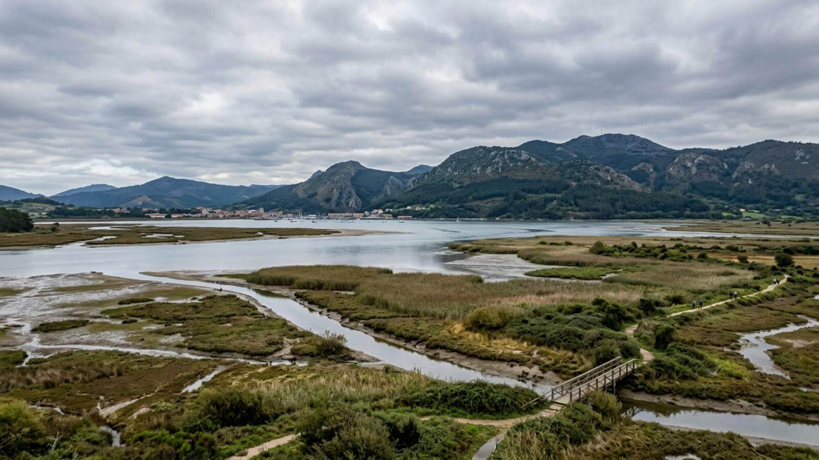 Mejor época para viajar al Parque Natural de las Marismas de Santoña