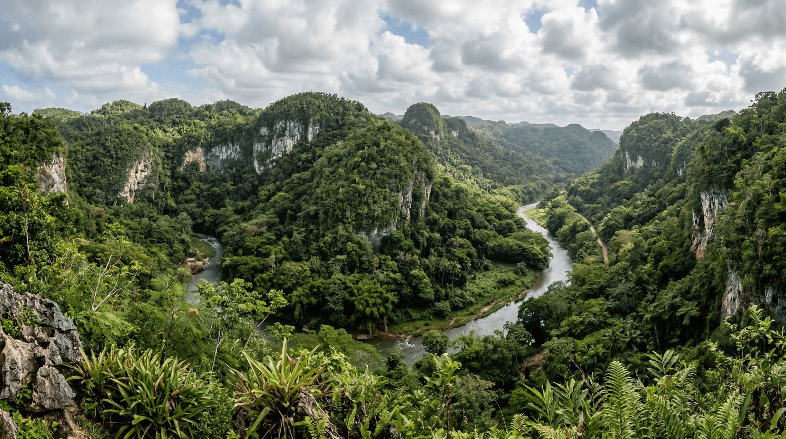 Mejor época para viajar al Parque de las Cavernas del Río Camuy