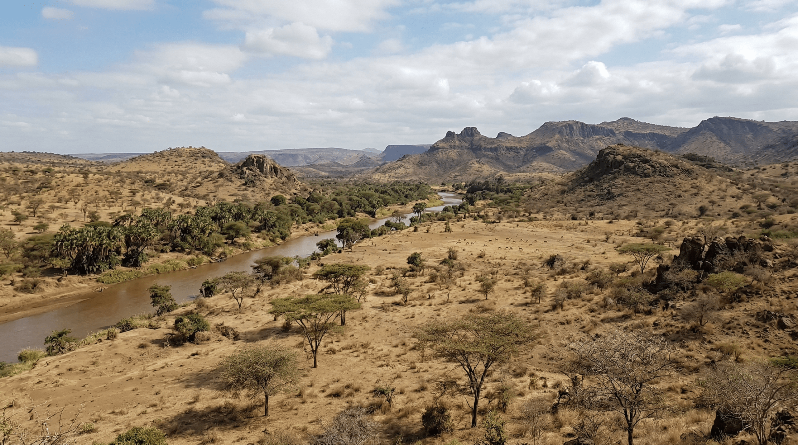 Mejor época para viajar a Shaba National Reserve