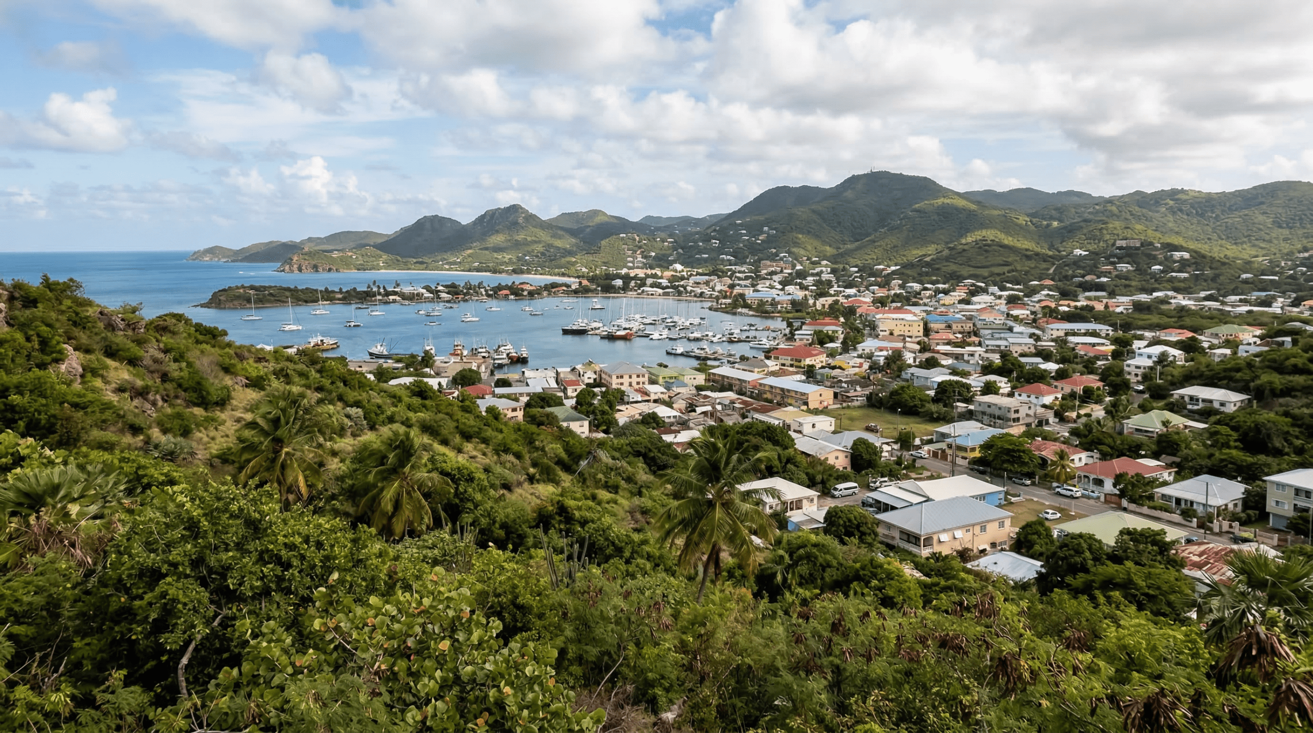 Mejor época para viajar a Saint John's en Antigua