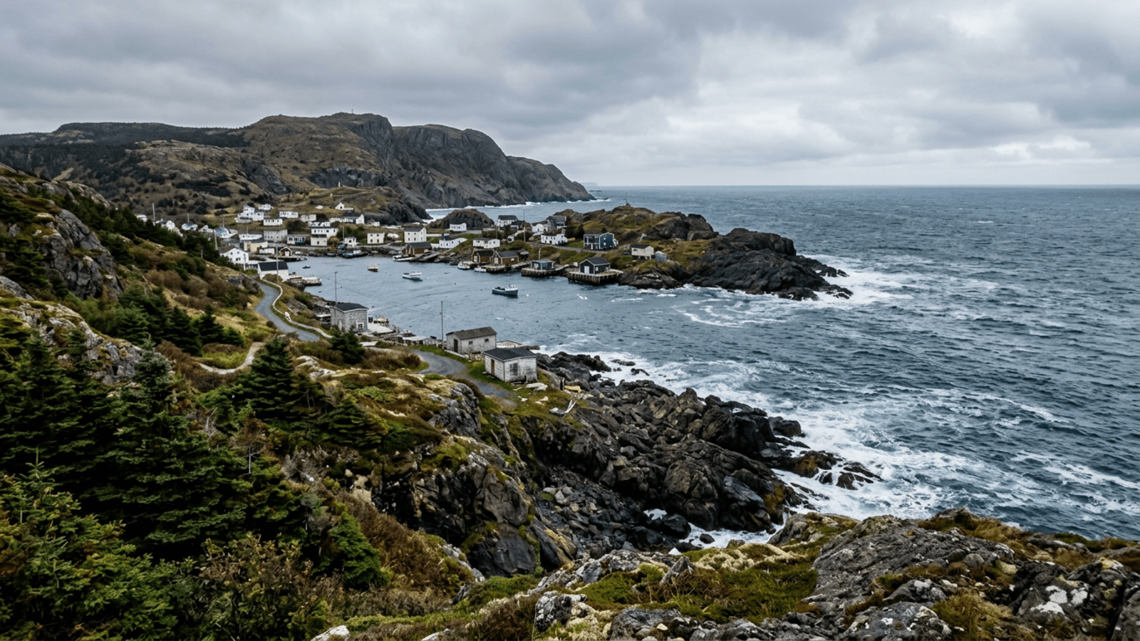 Mejor época para viajar a St. John's en Terranova