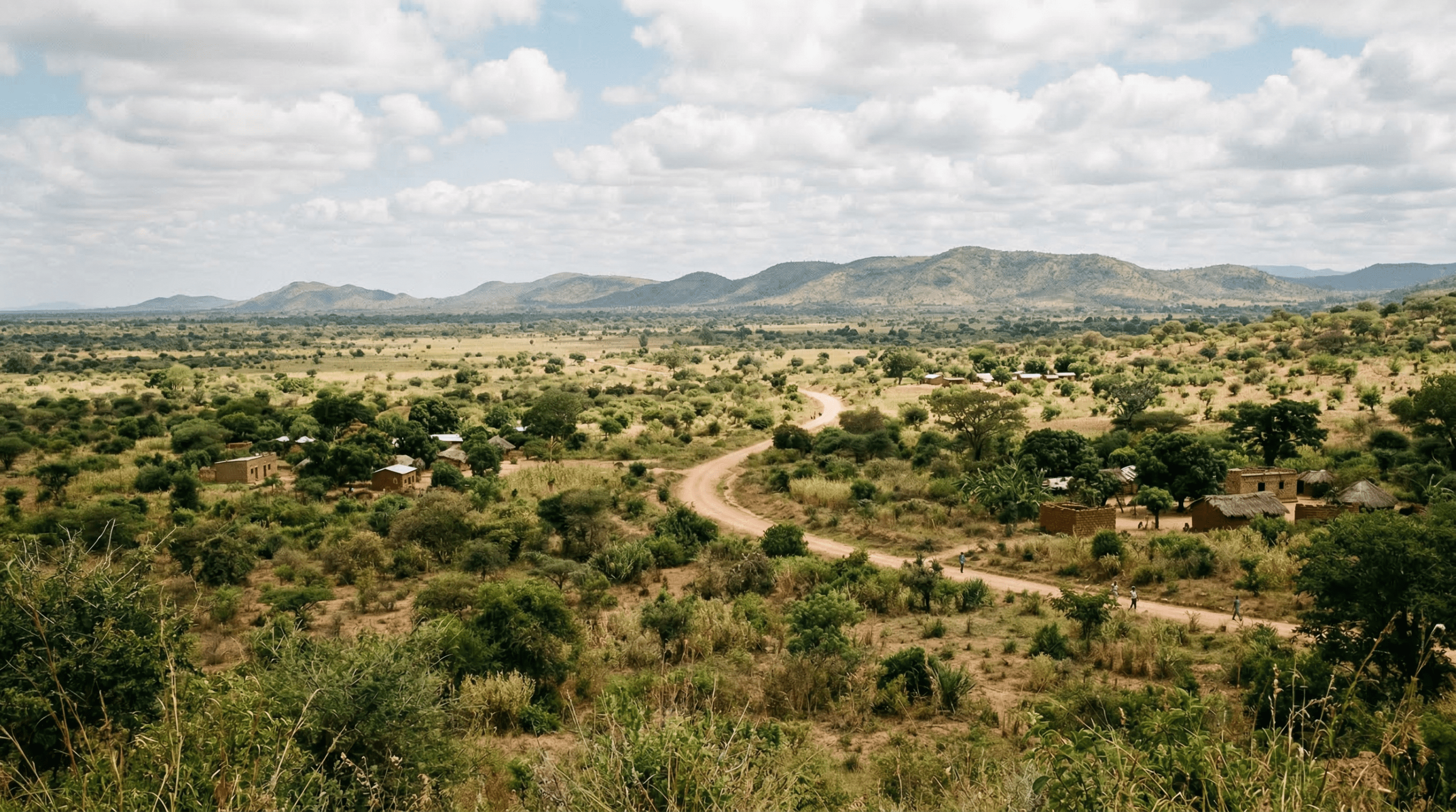 Mejor época para viajar a Tabora