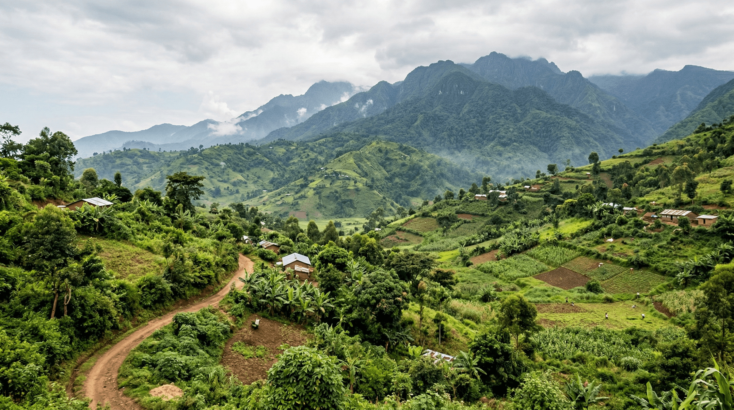 Mejor época para viajar a Uganda