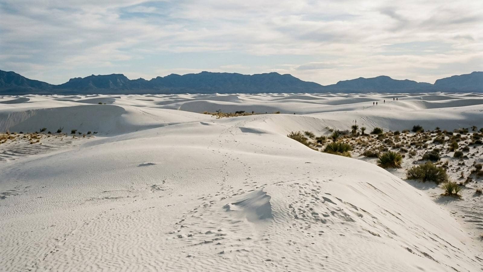 Mejor época para viajar a White Sands