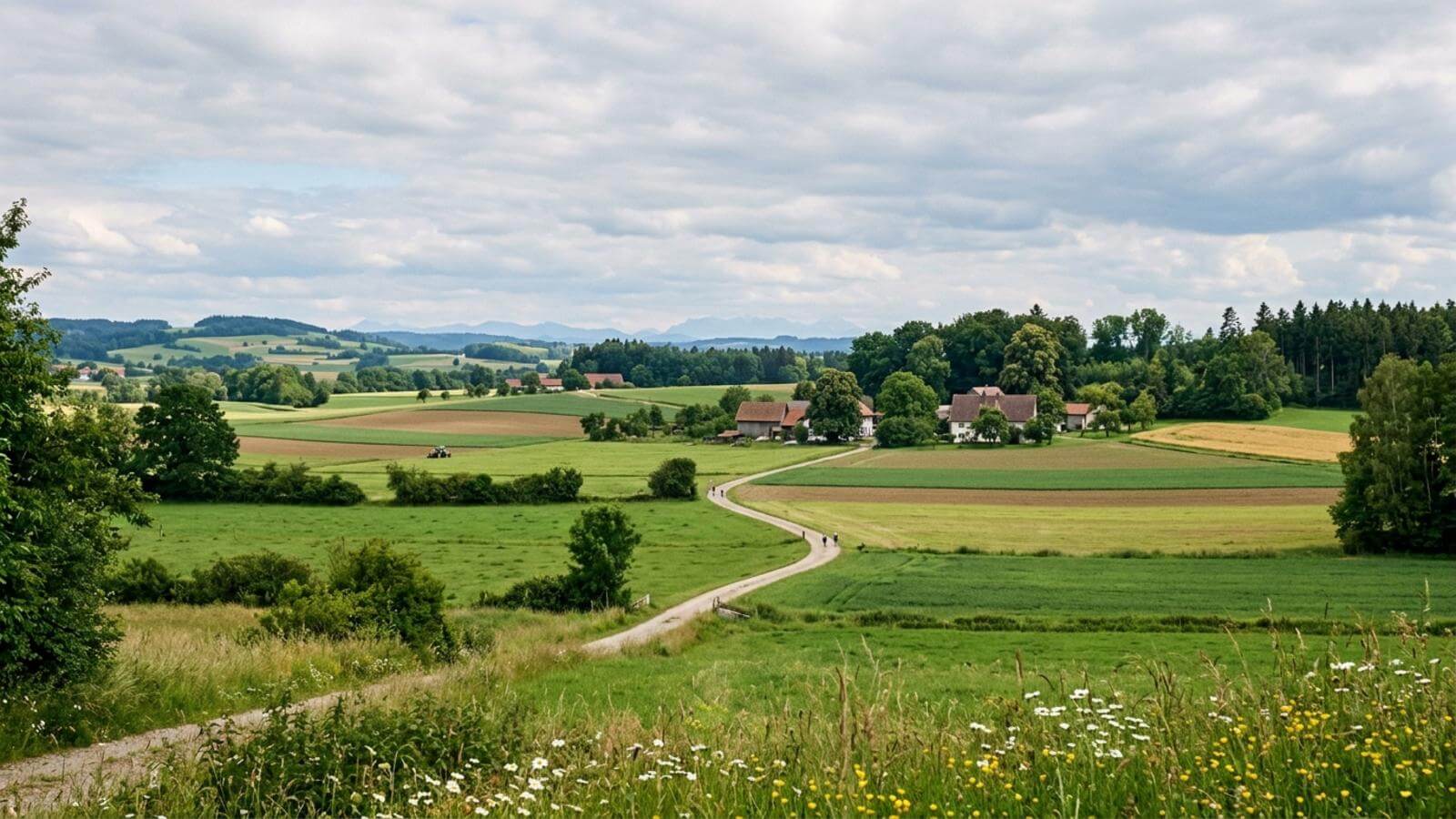 Mejor época para viajar a Memmingen
