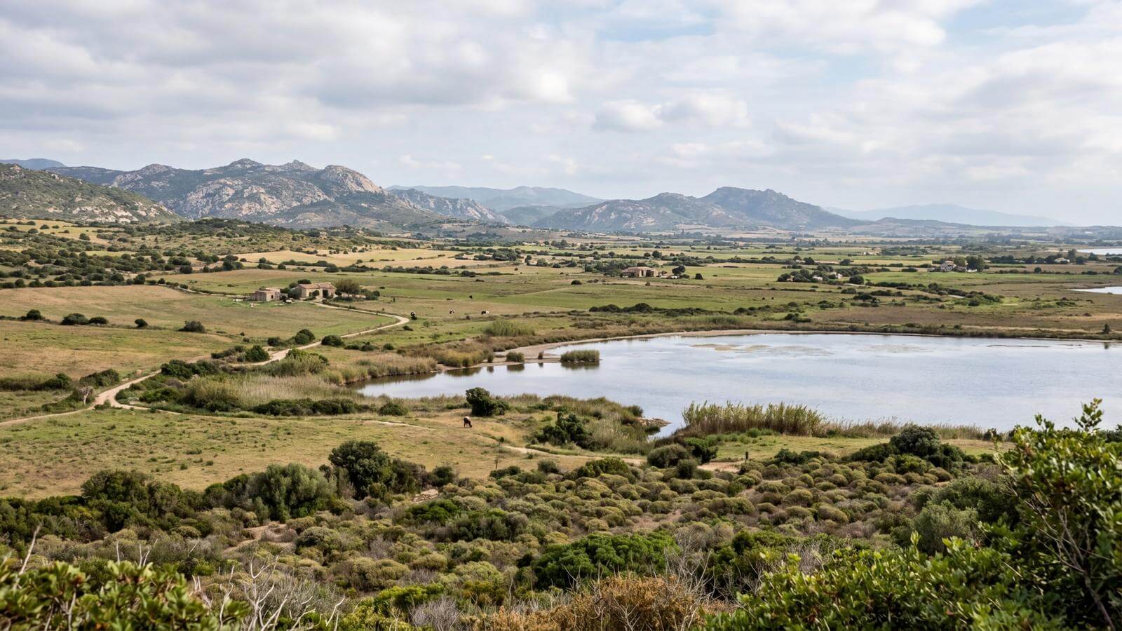 Mejor época para viajar a Oristano